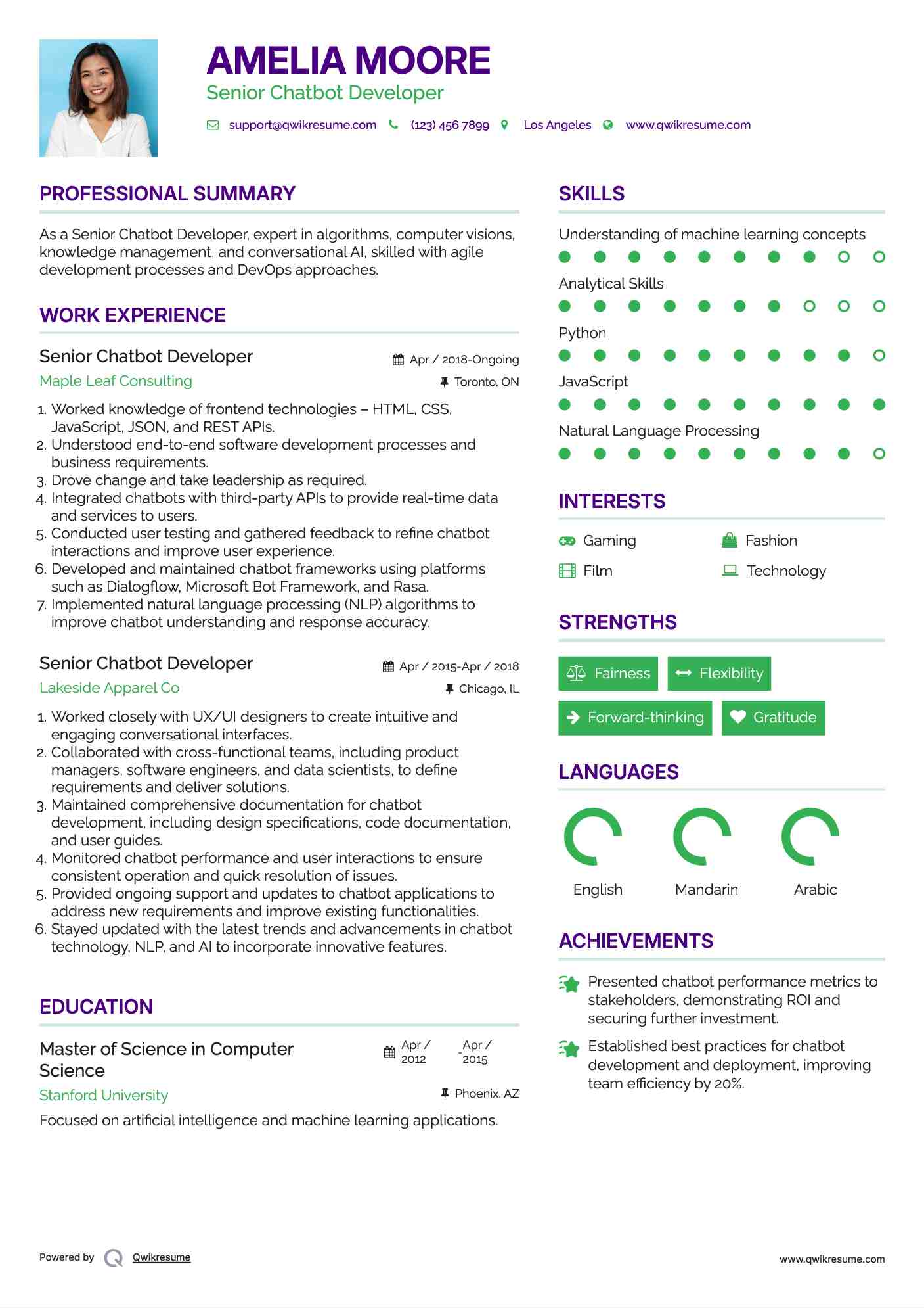 Senior Chatbot Developer Resume Model