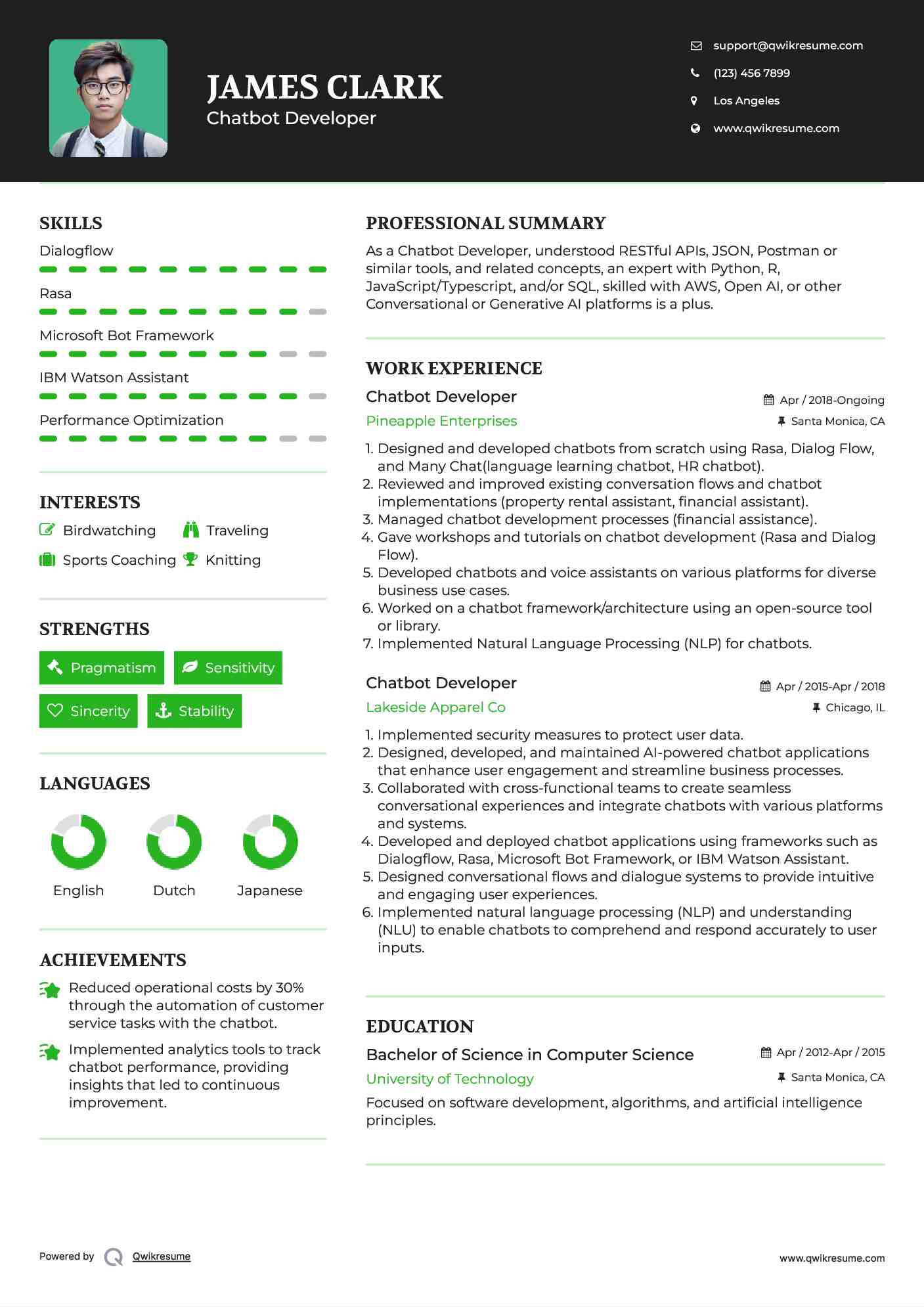 Chatbot Developer Resume Example