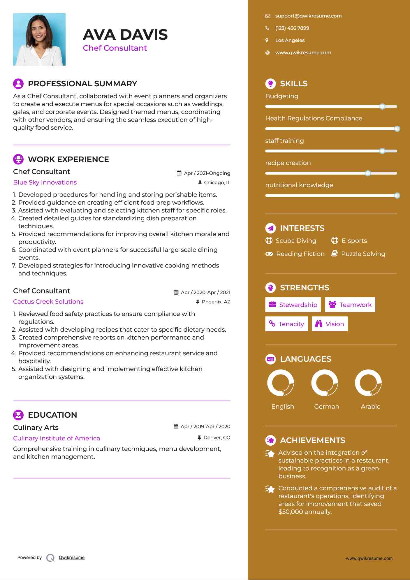 Chef Consultant Resume Model