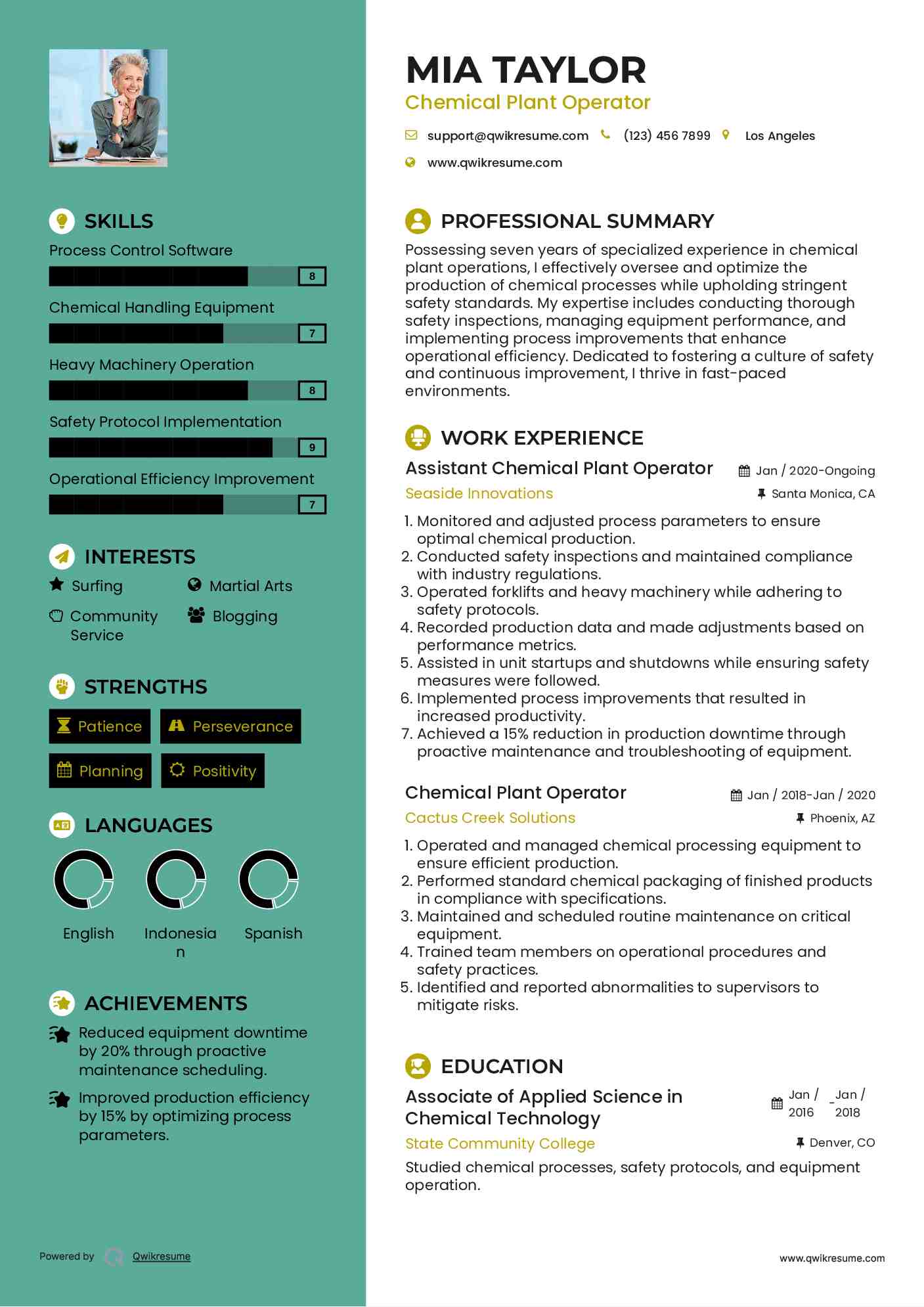 Assistant Chemical Plant Operator Resume Example