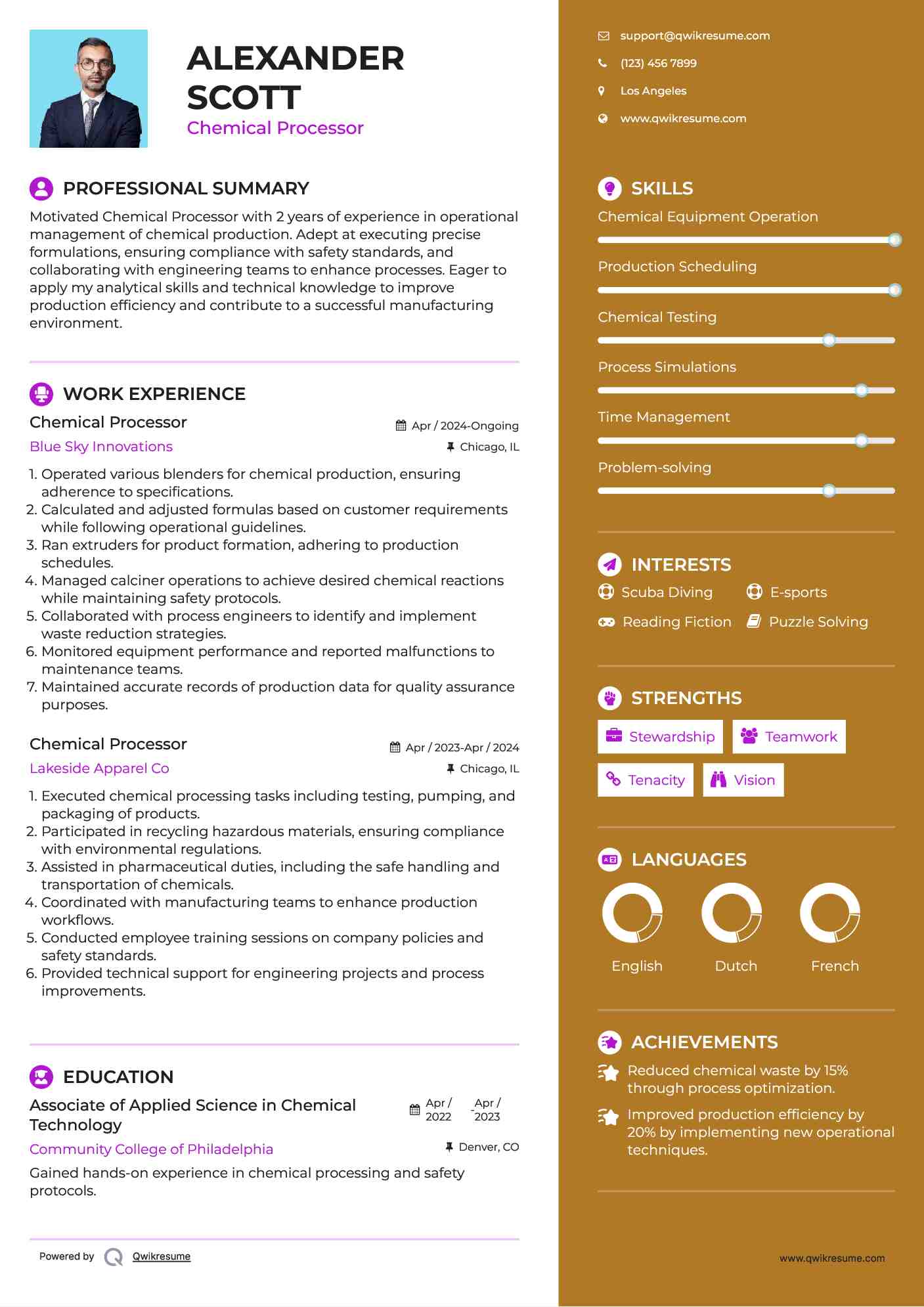 Chemical Processor Resume Model