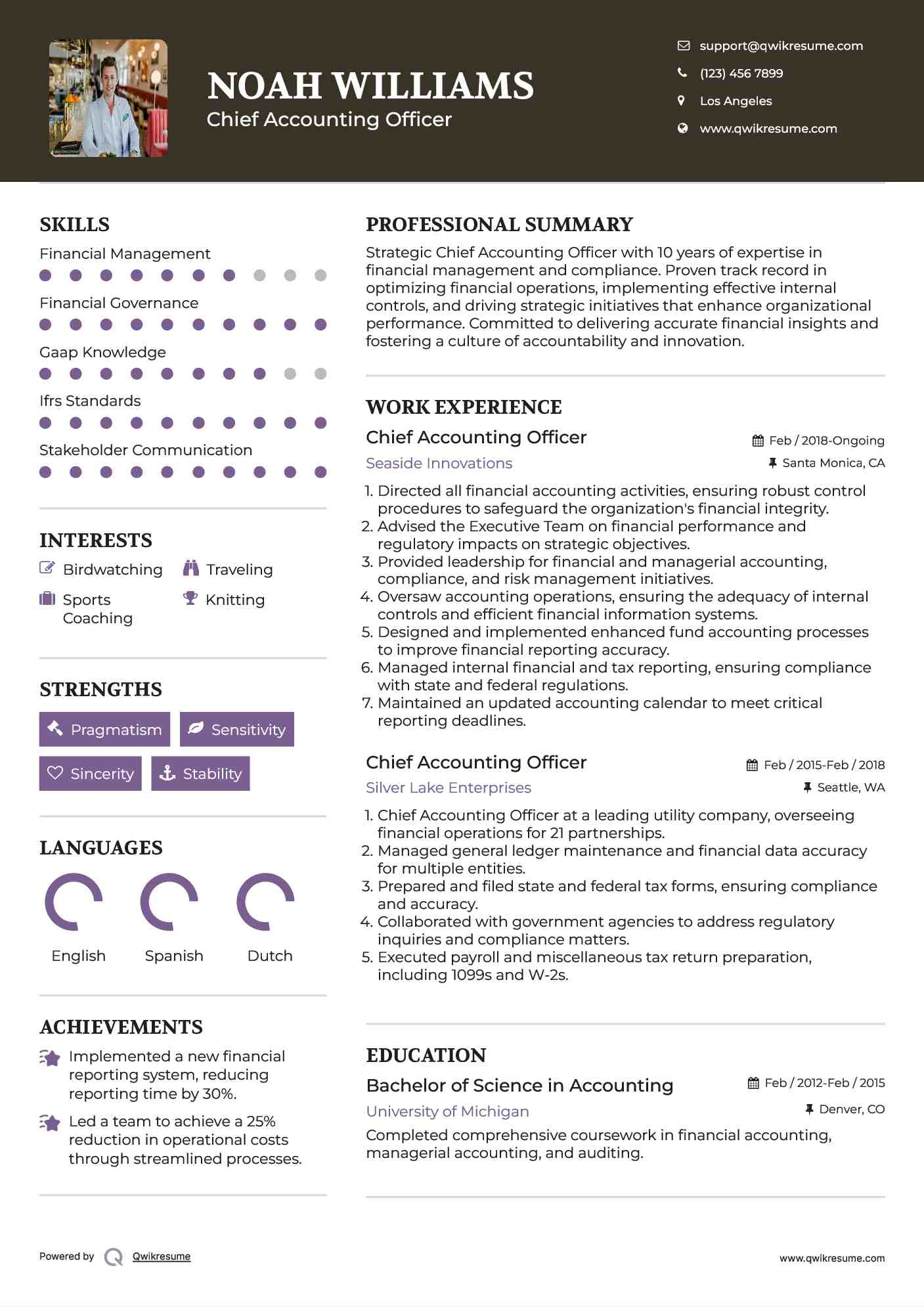 Chief Accounting Officer  Resume Template