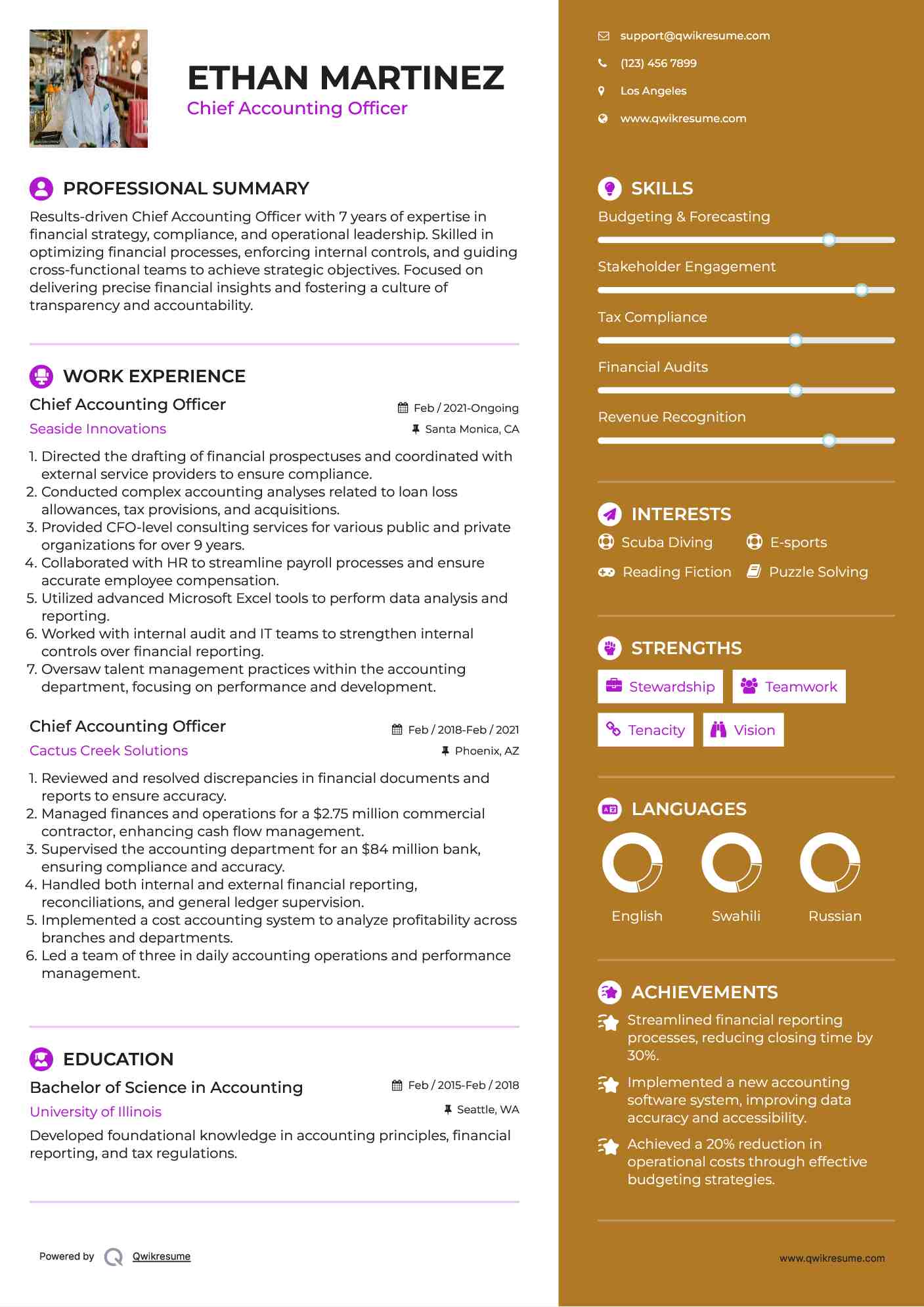 Chief Accounting Officer Resume Example