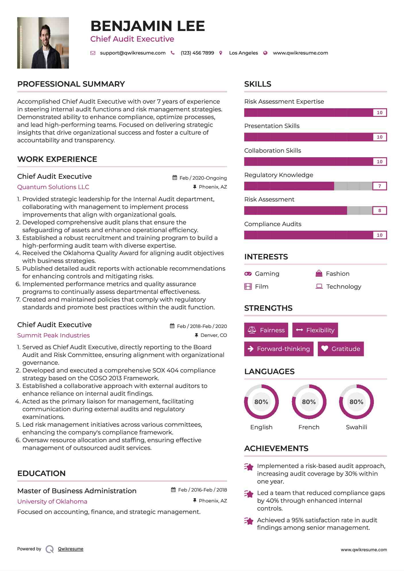 Chief Audit Executive Resume Template