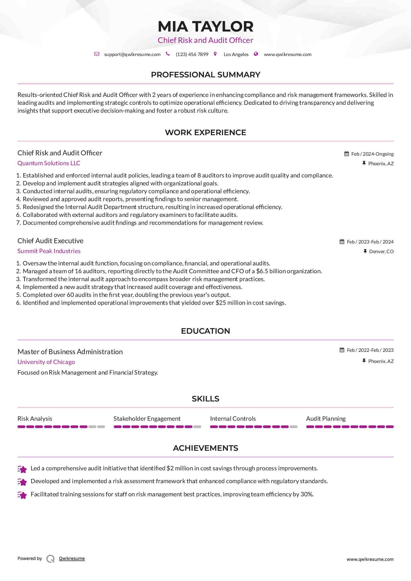 Chief Risk and Audit Officer
 Resume Template