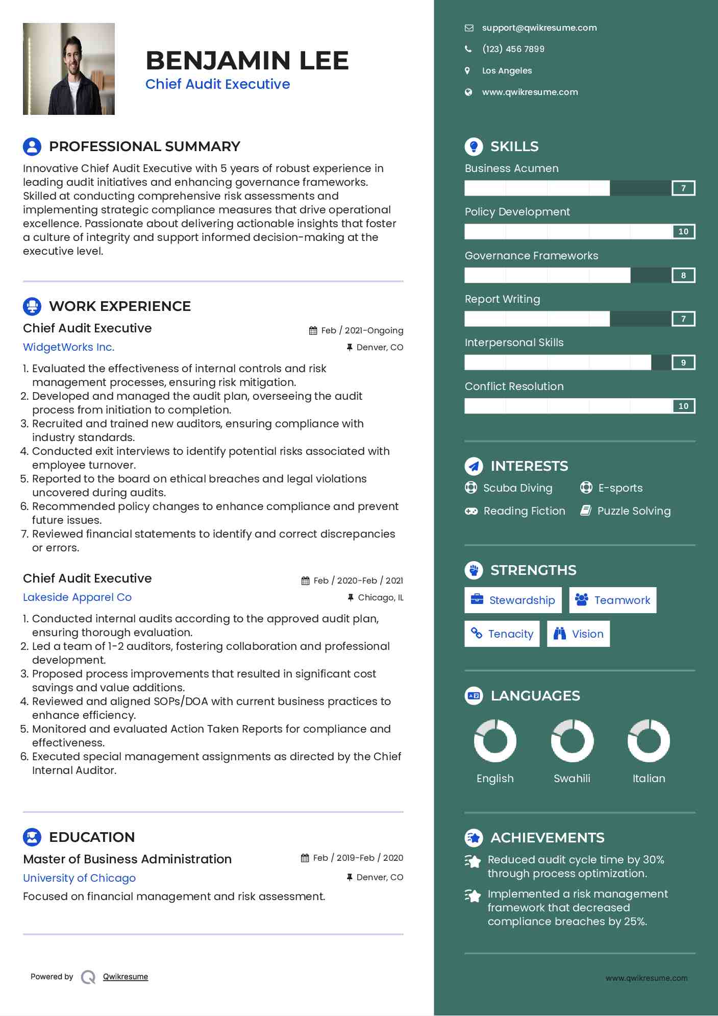 Chief Audit Executive Resume Example