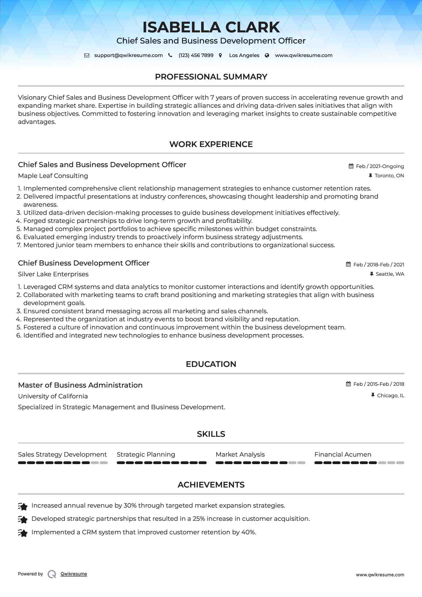 Chief Sales and Business Development Officer Resume Format