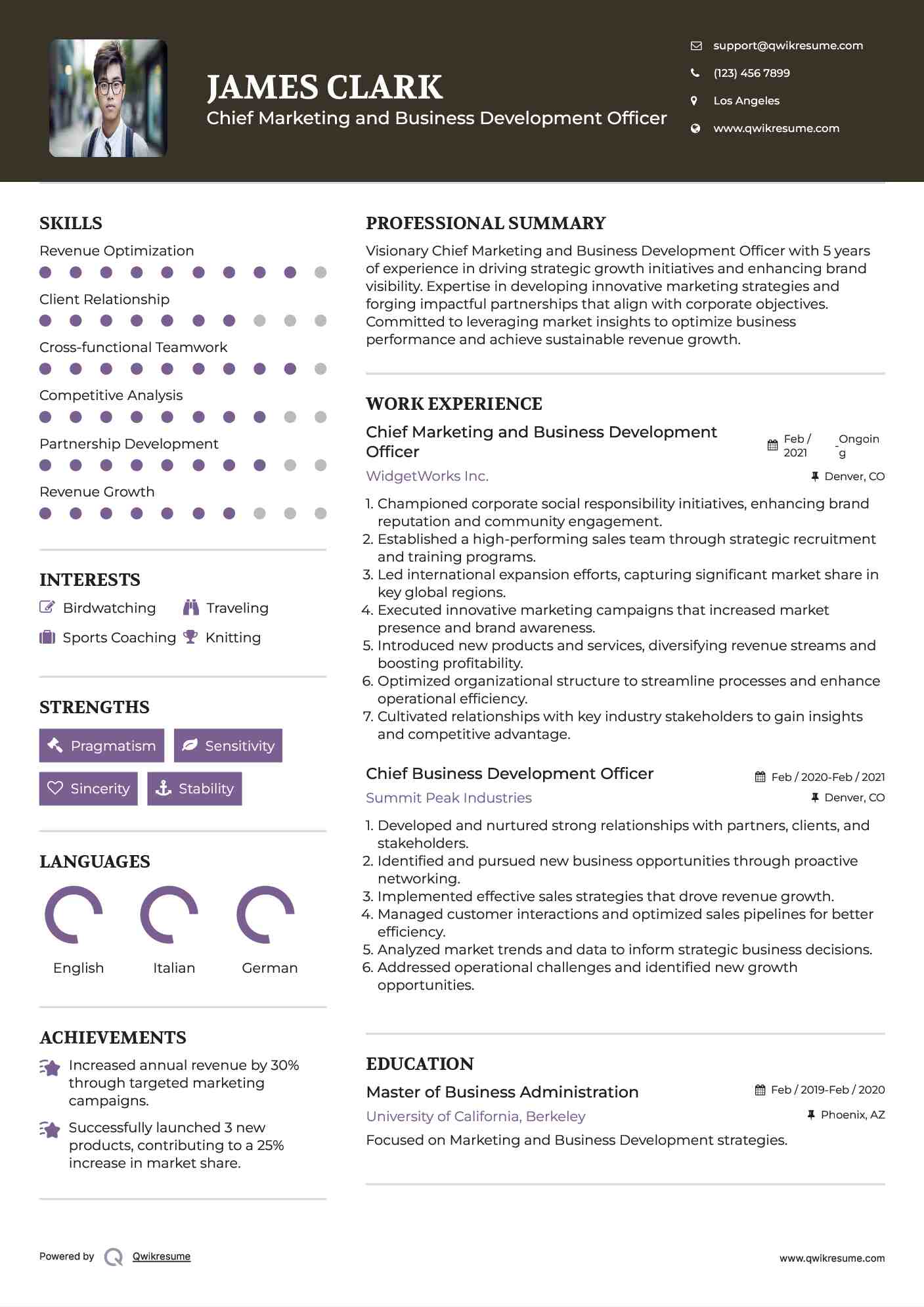 Chief Marketing and Business Development Officer
 Resume Template