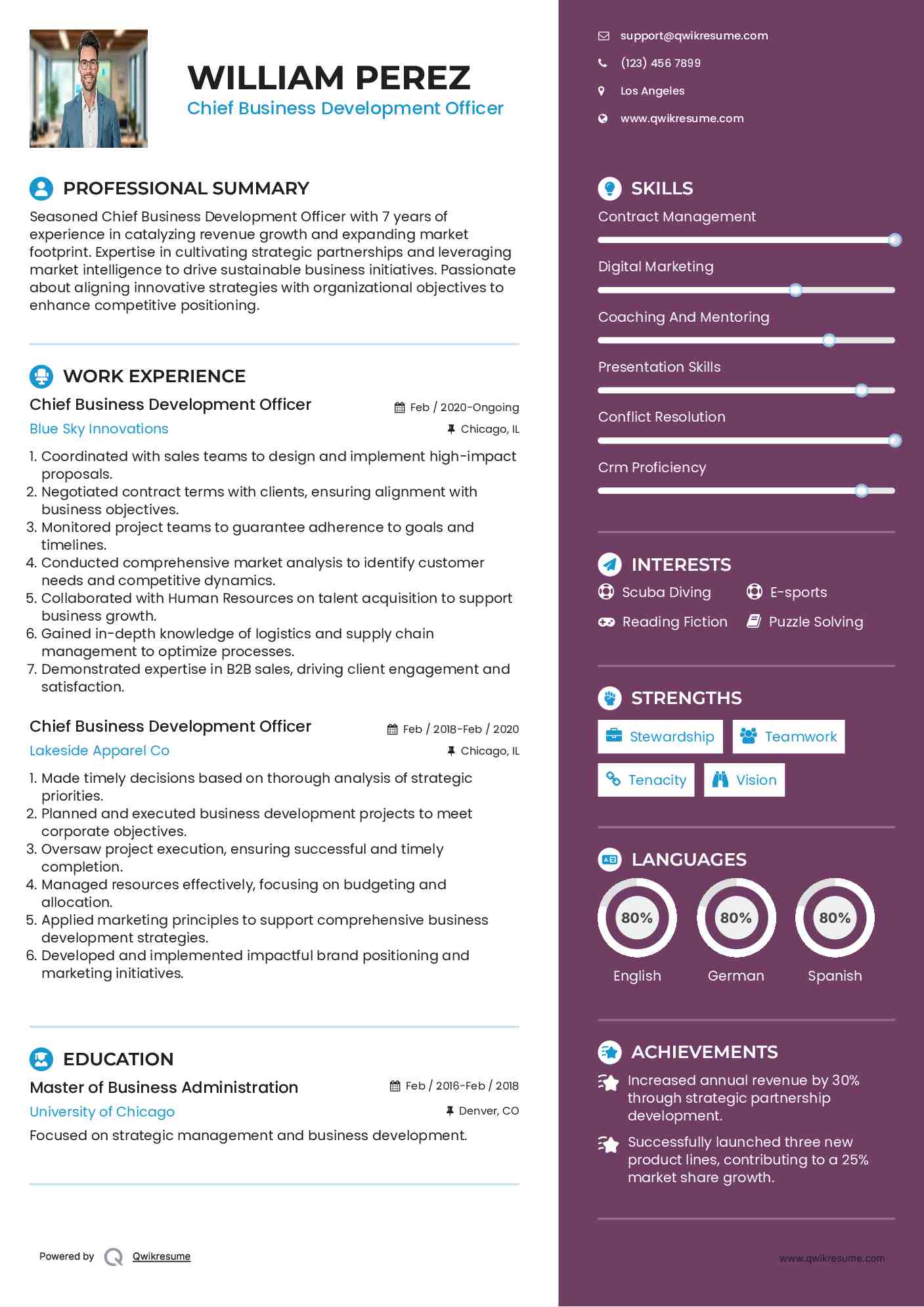 Chief Business Development Officer Resume Template