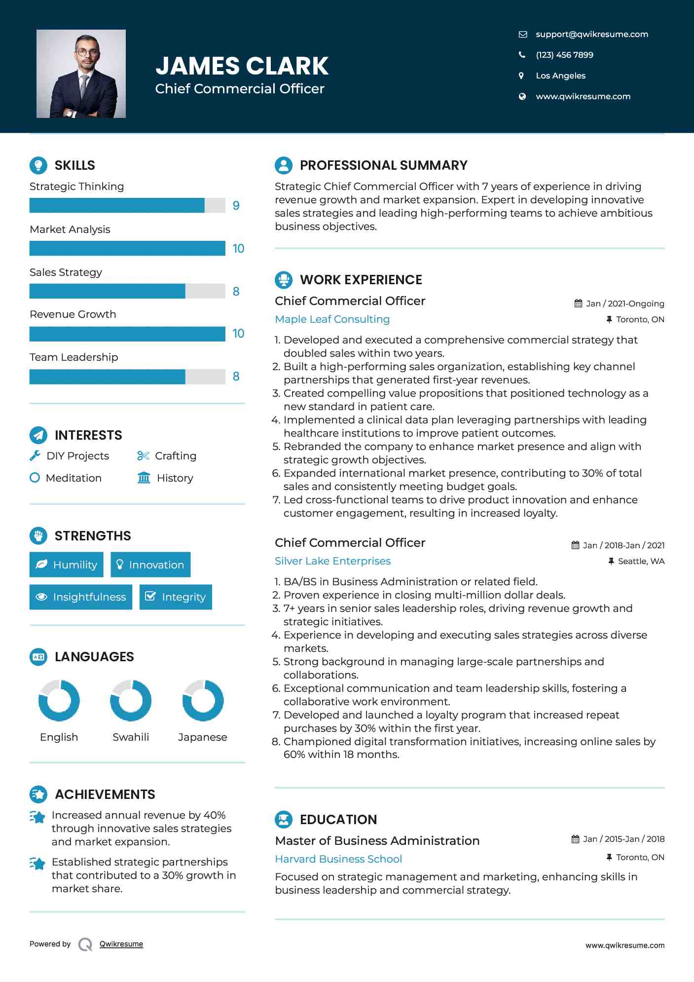 Chief Commercial Officer Resume Model
