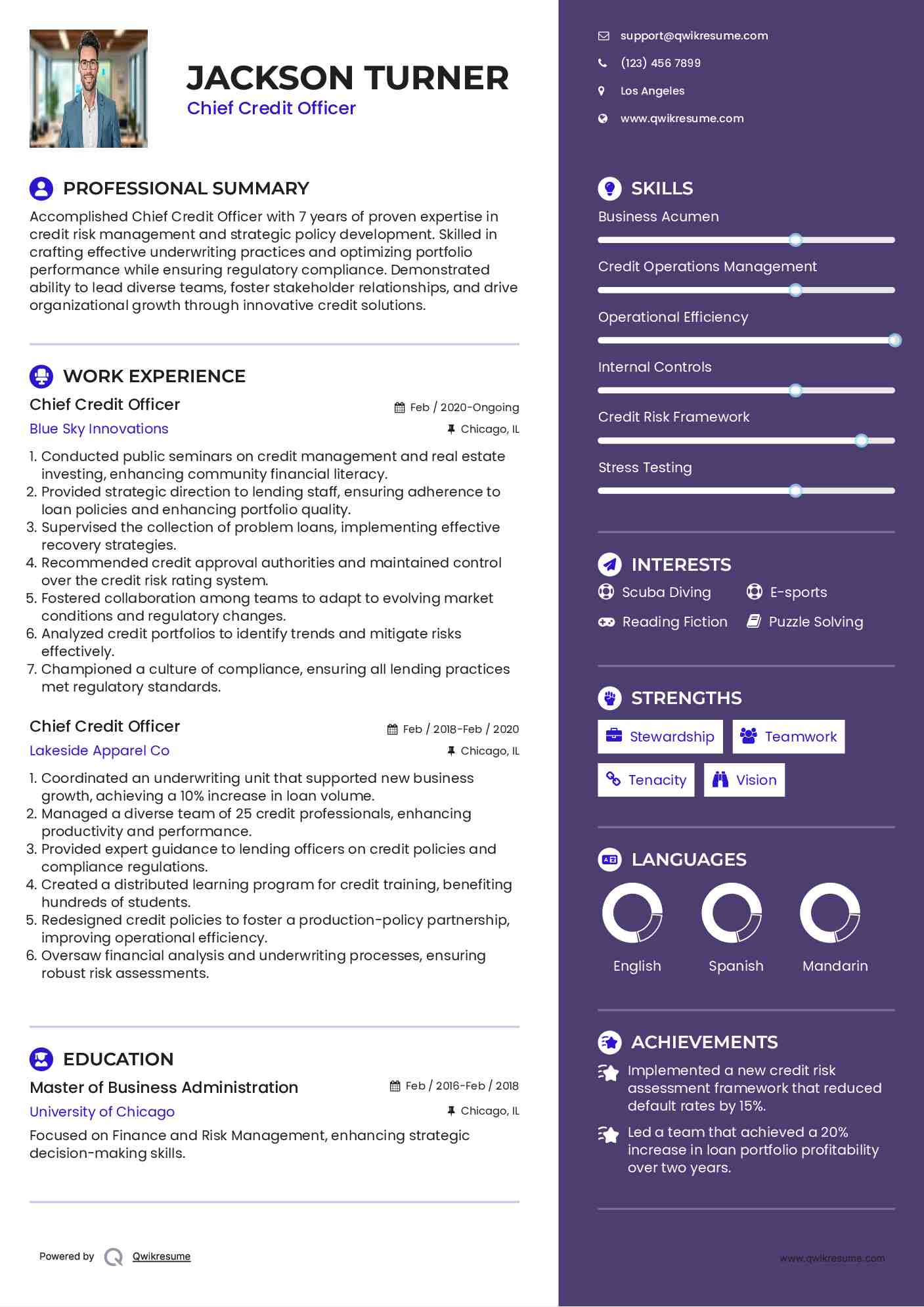 Chief Credit Officer Resume Model