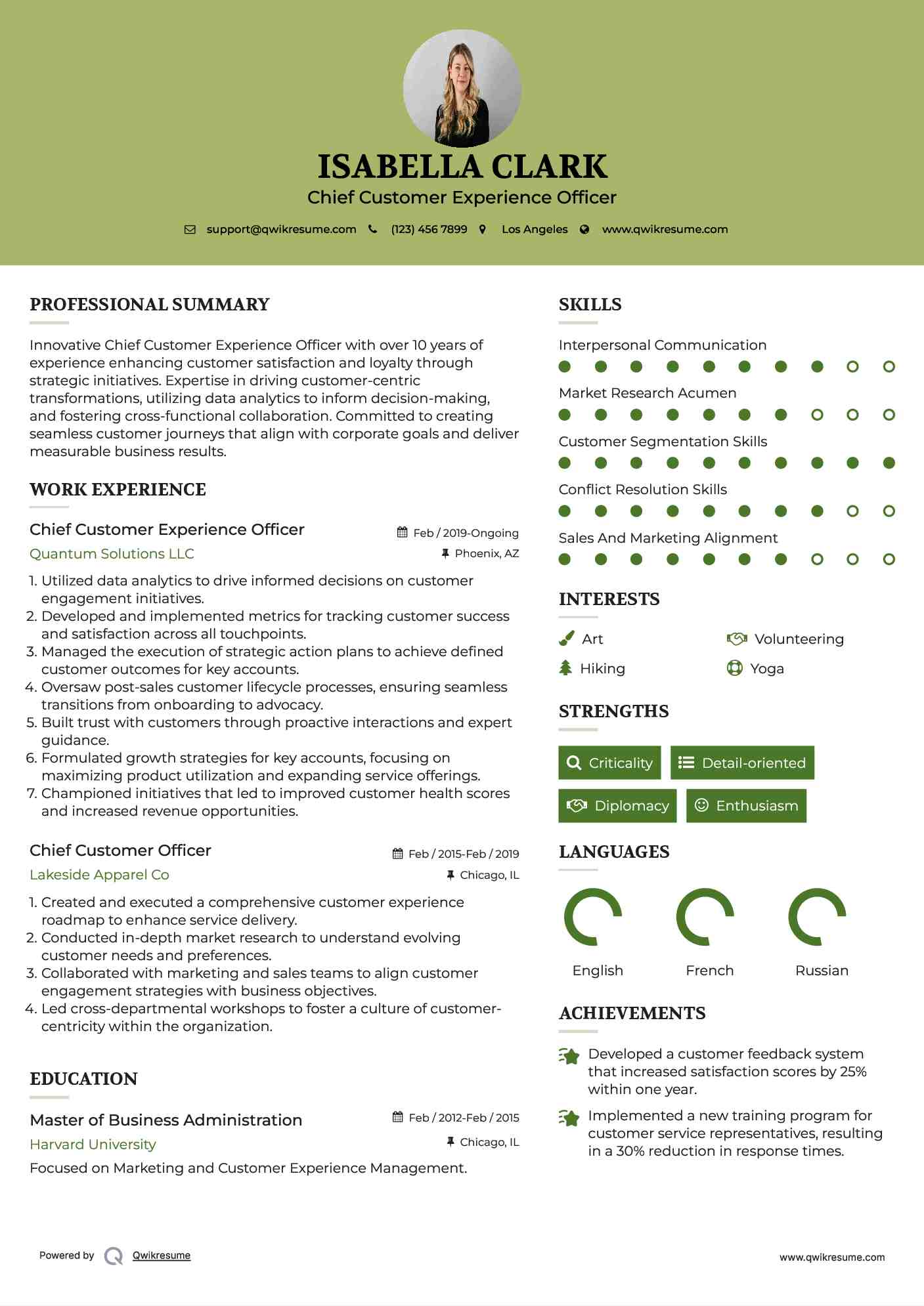 Chief Customer Experience Officer  Resume Template