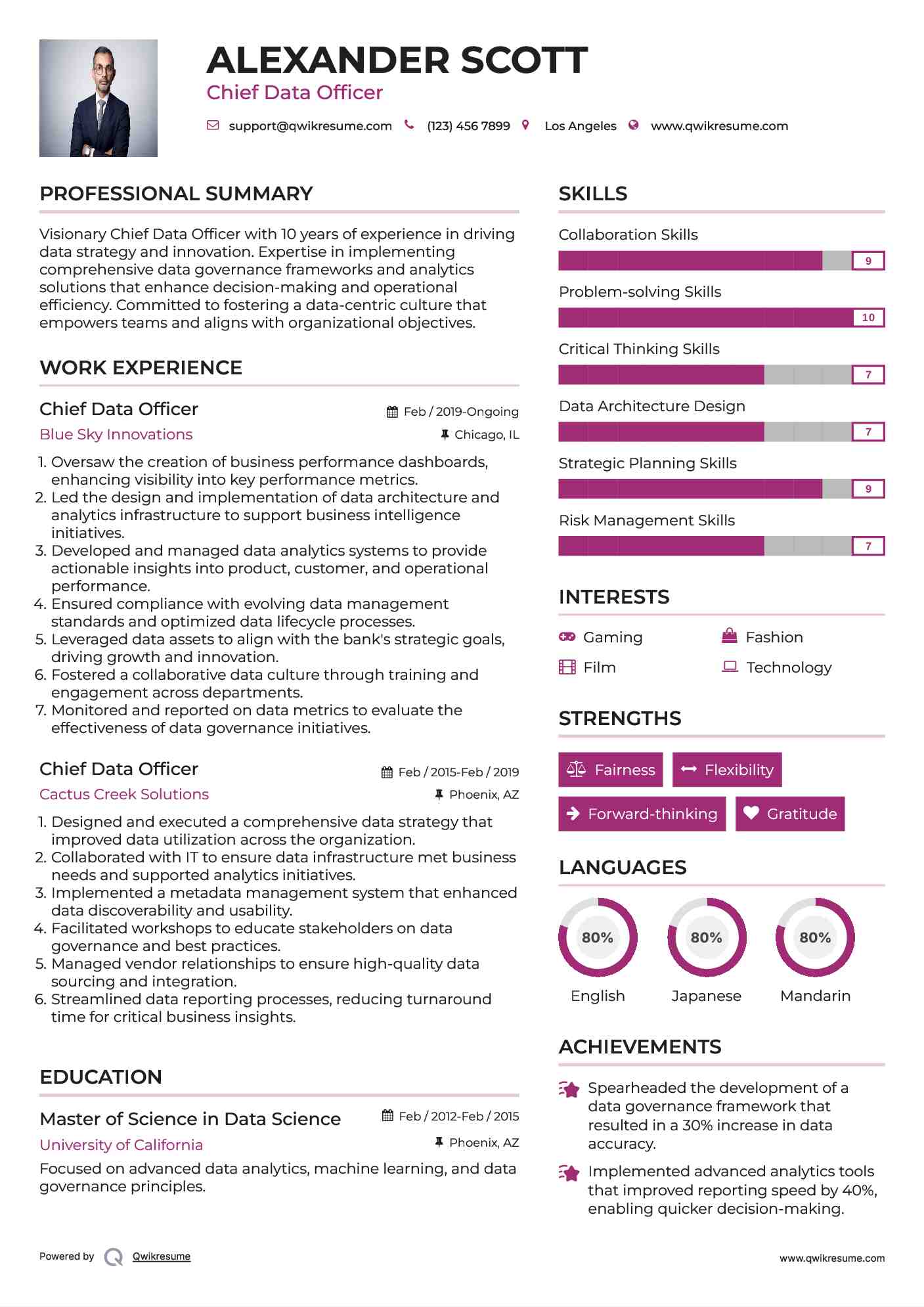 Chief Data Officer Resume Example