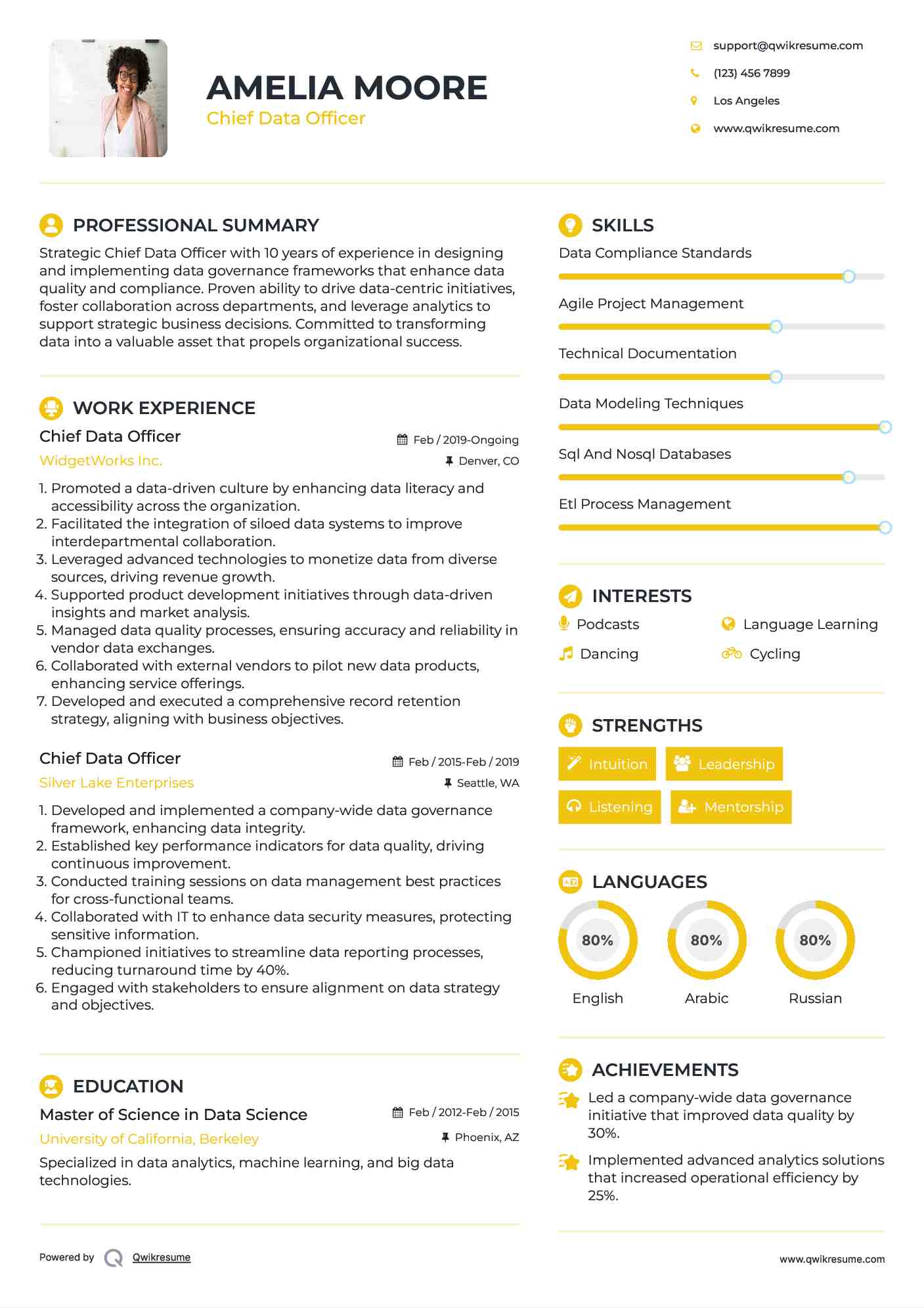 Chief Data Officer Resume Format