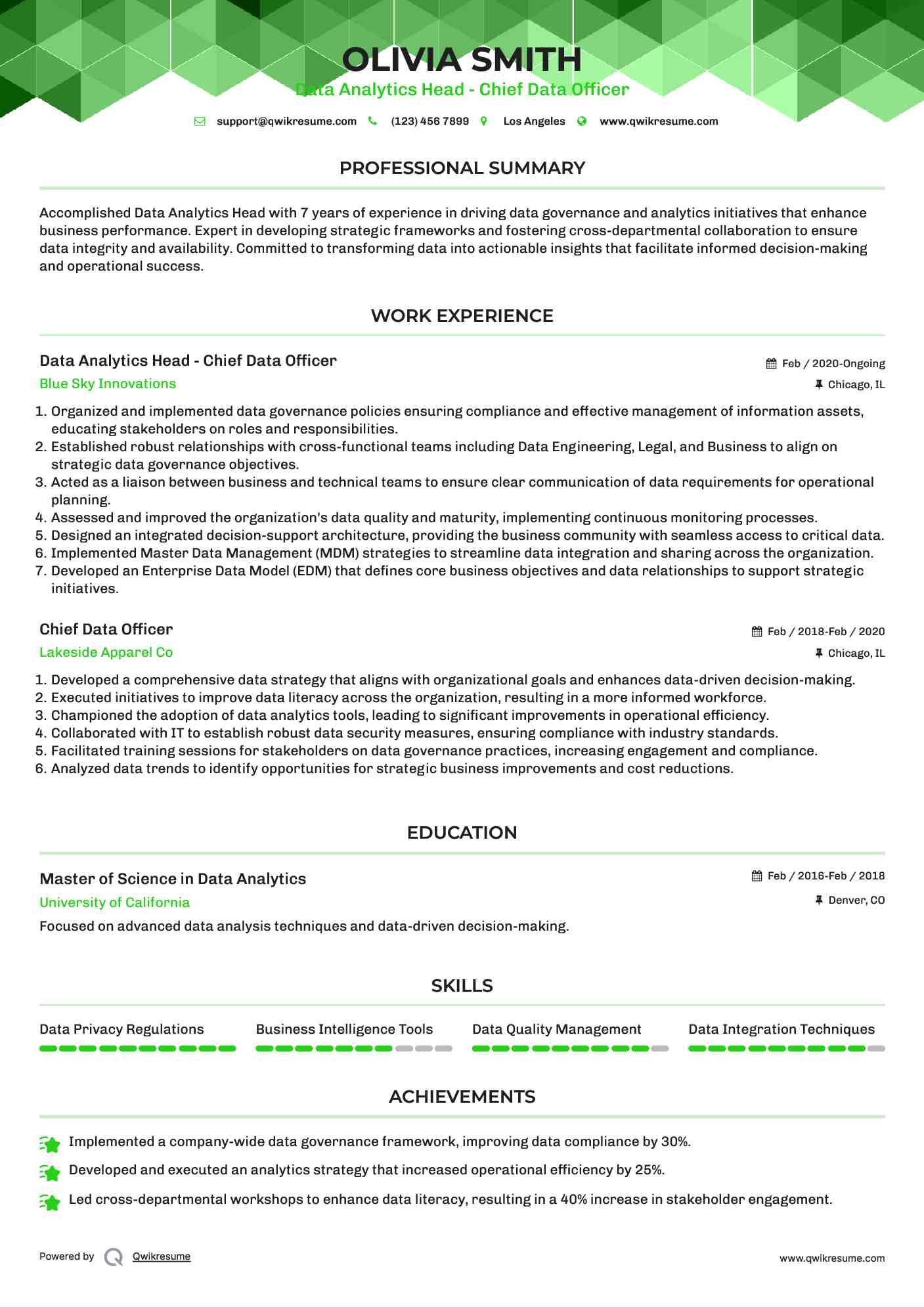 Data Analytics Head - Chief Data Officer Resume Template