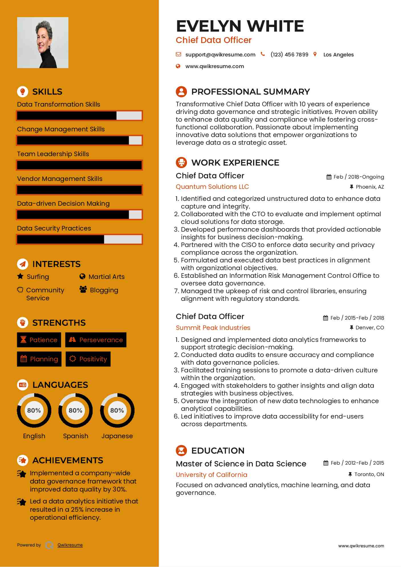 Chief Data Officer Resume Format