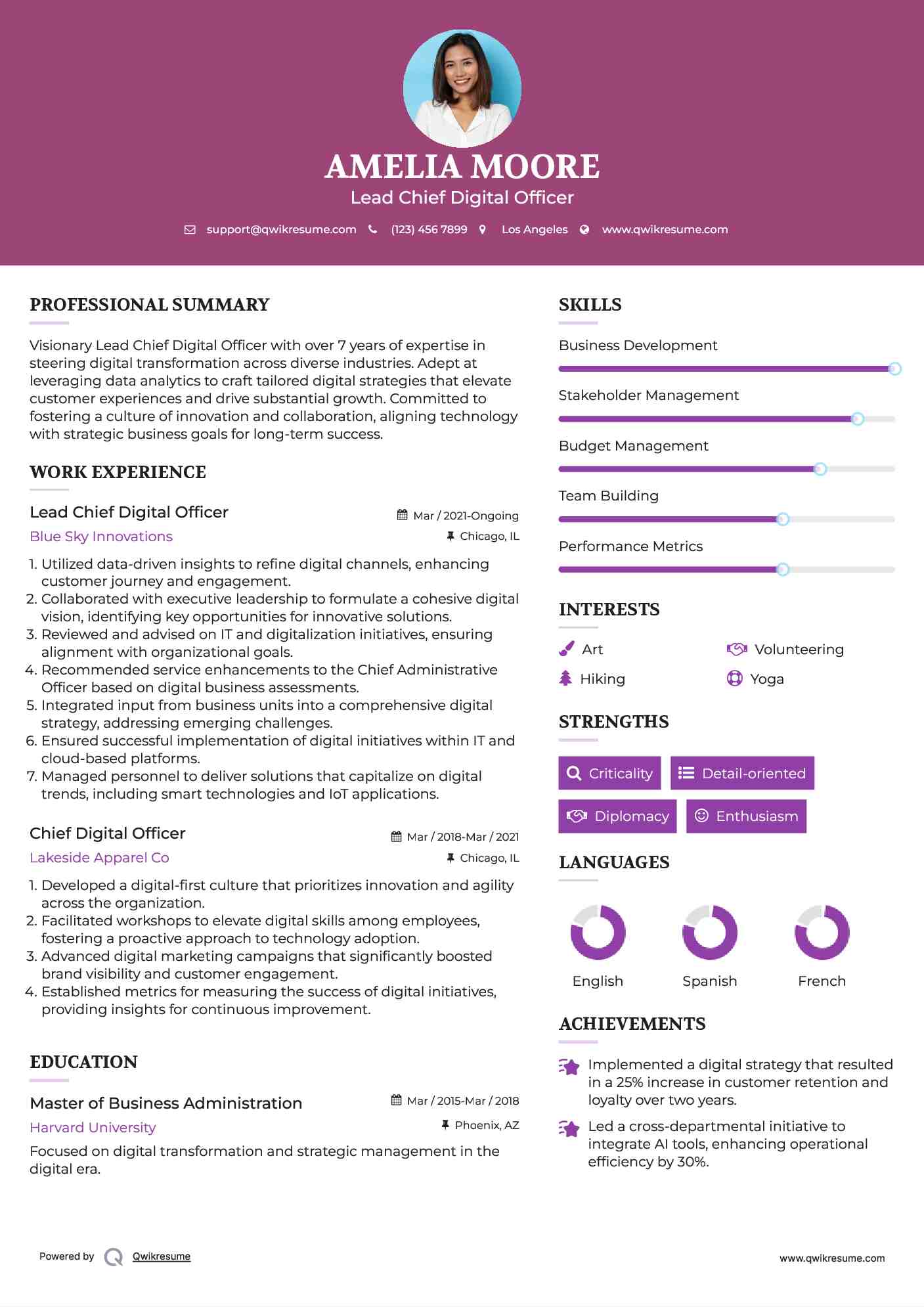 Lead Chief Digital Officer Resume Model