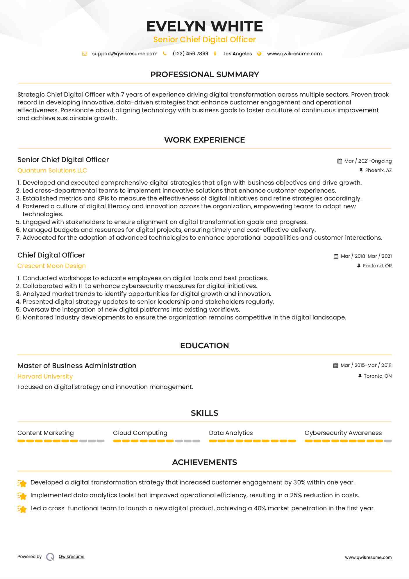 Senior Chief Digital Officer Resume Format