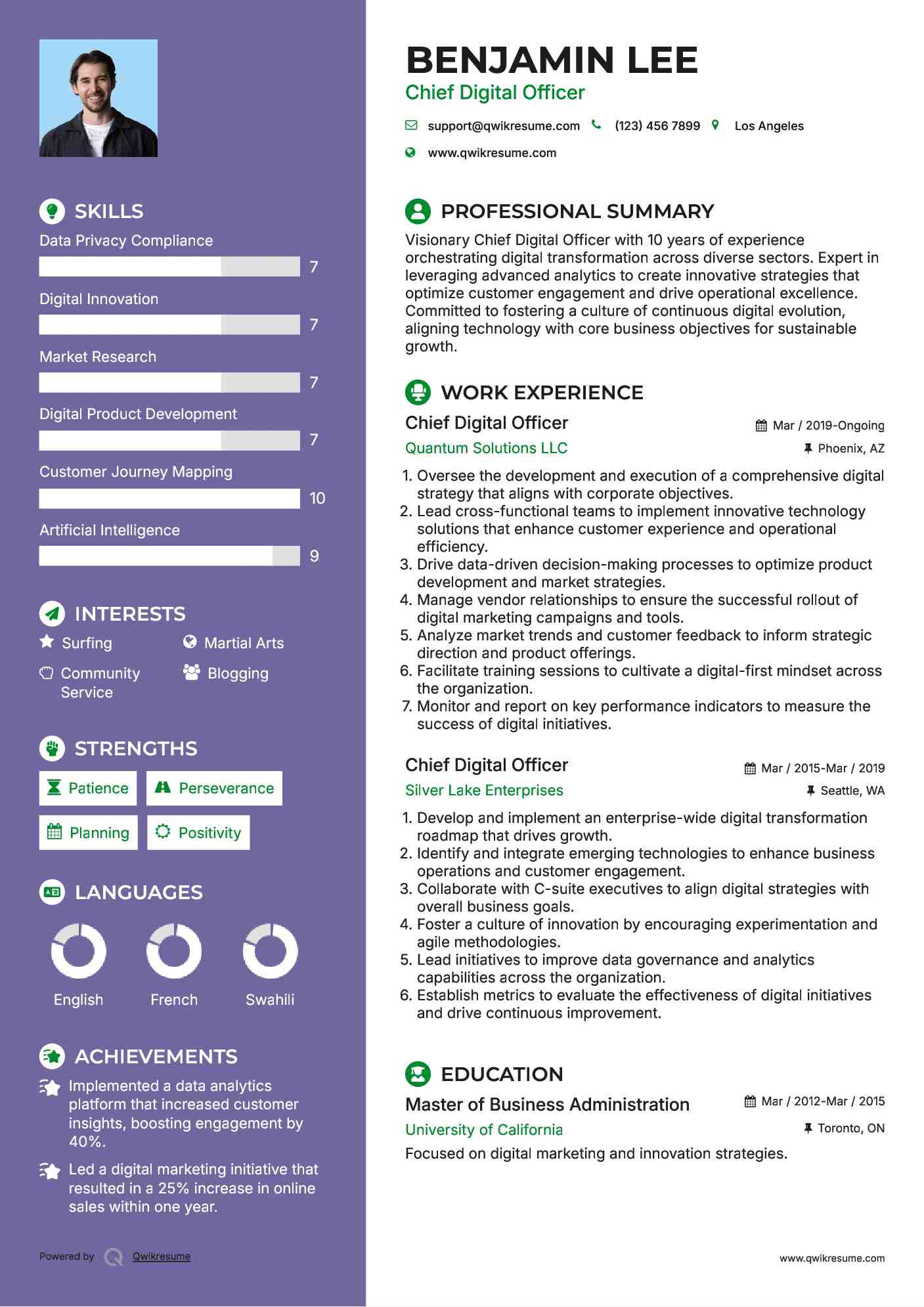 Chief Digital Officer Resume Example