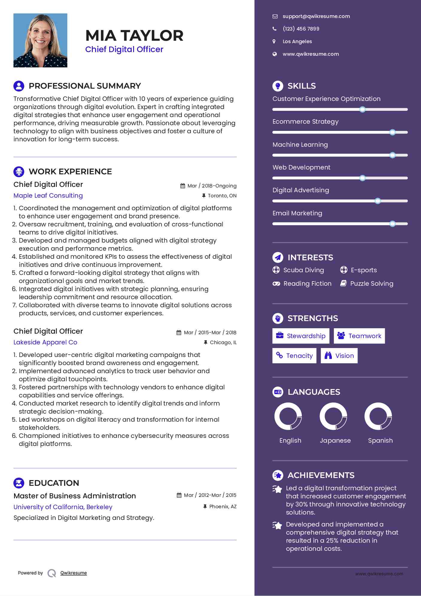 Chief Digital Officer Resume Model