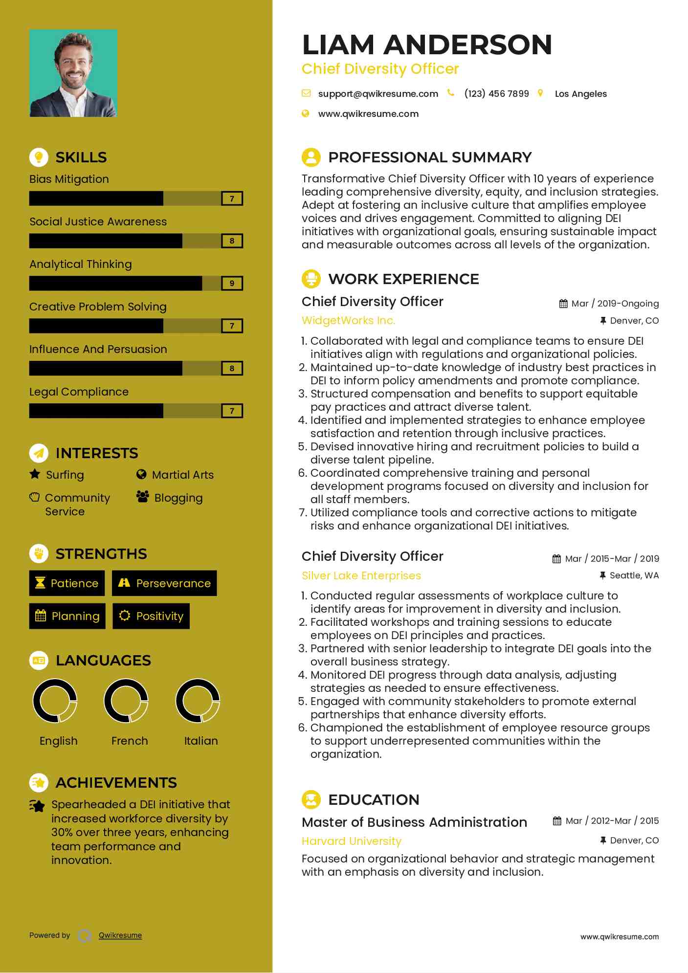 Chief Diversity Officer Resume Example
