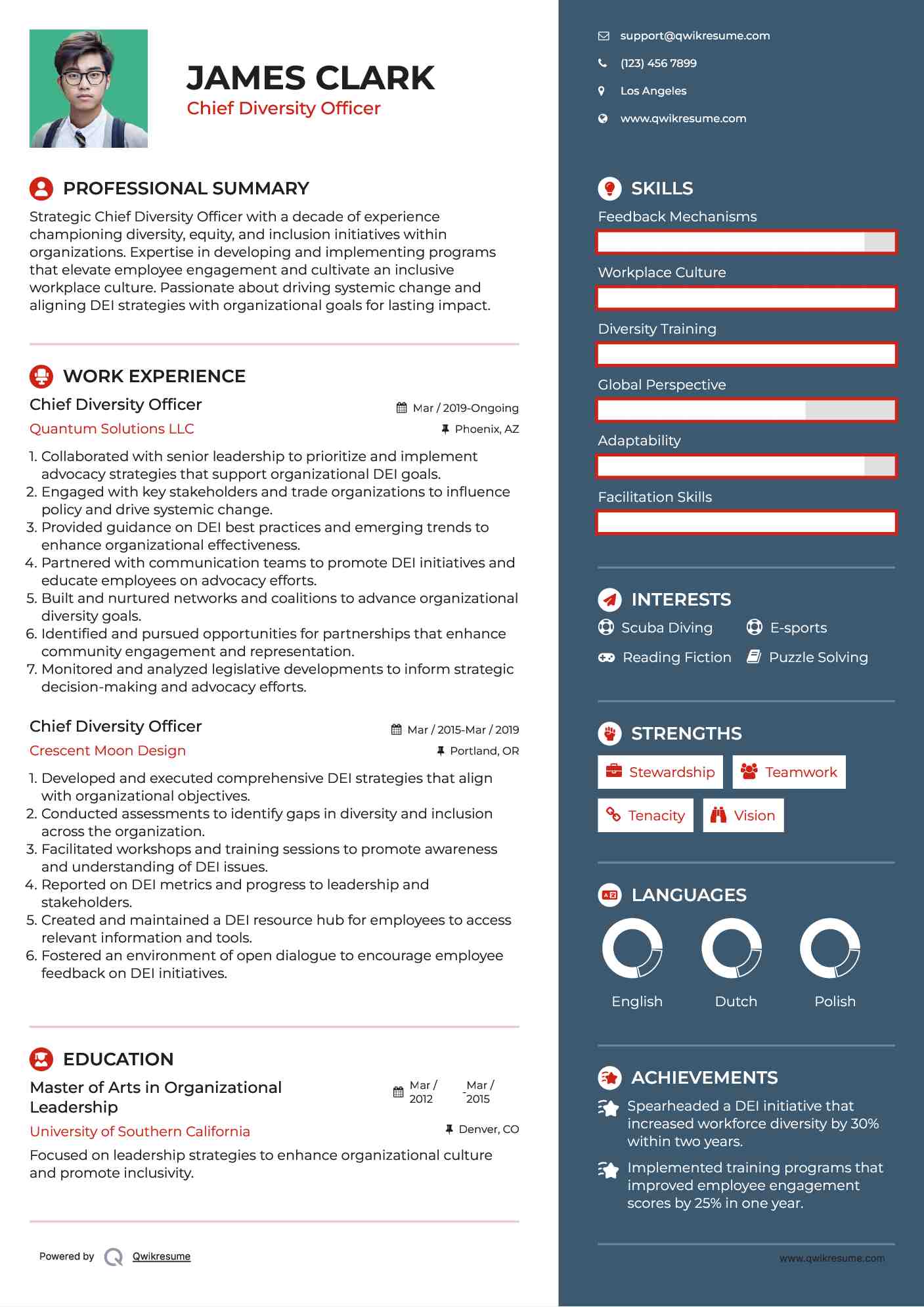 Chief Diversity Officer Resume Model