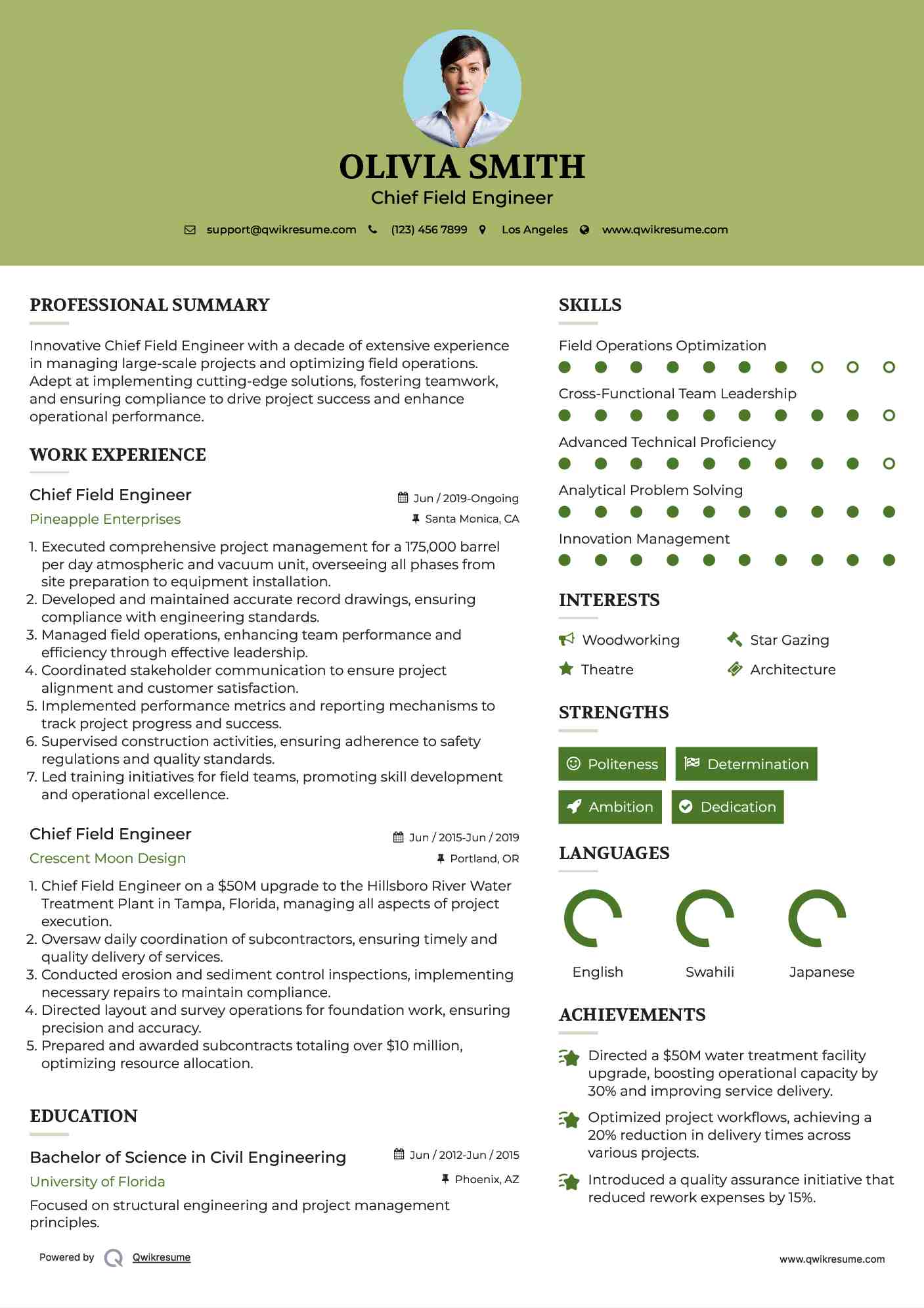 Chief Field Engineer Resume Sample