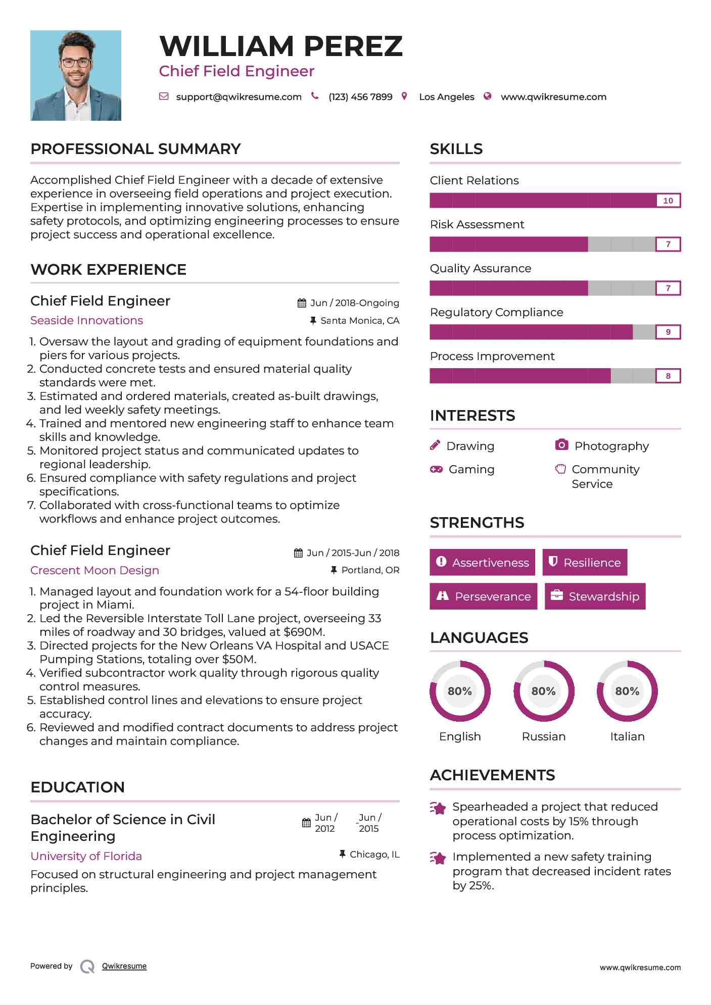 Chief Field Engineer Resume Sample