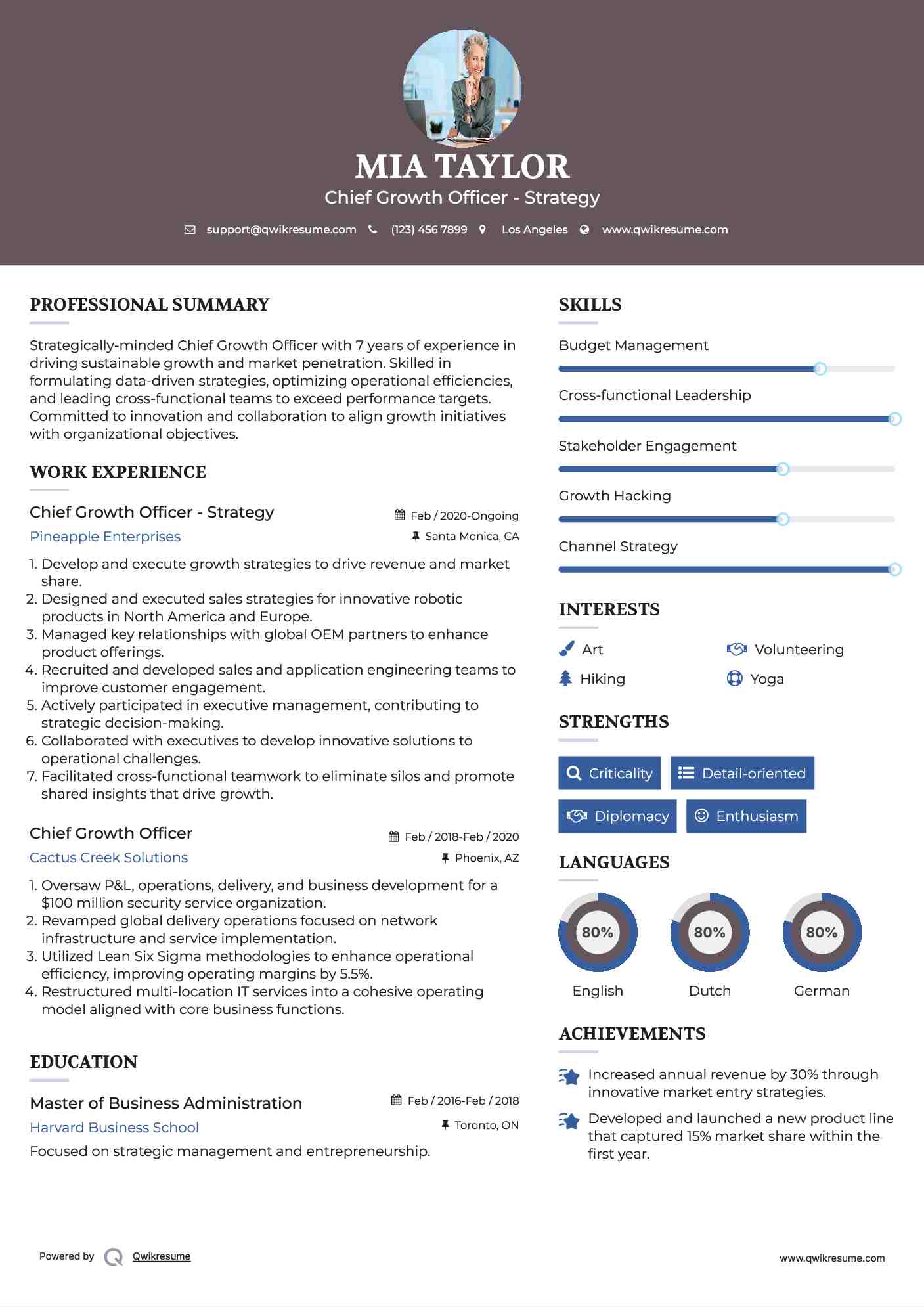 Chief Growth Officer - Strategy Resume Model
