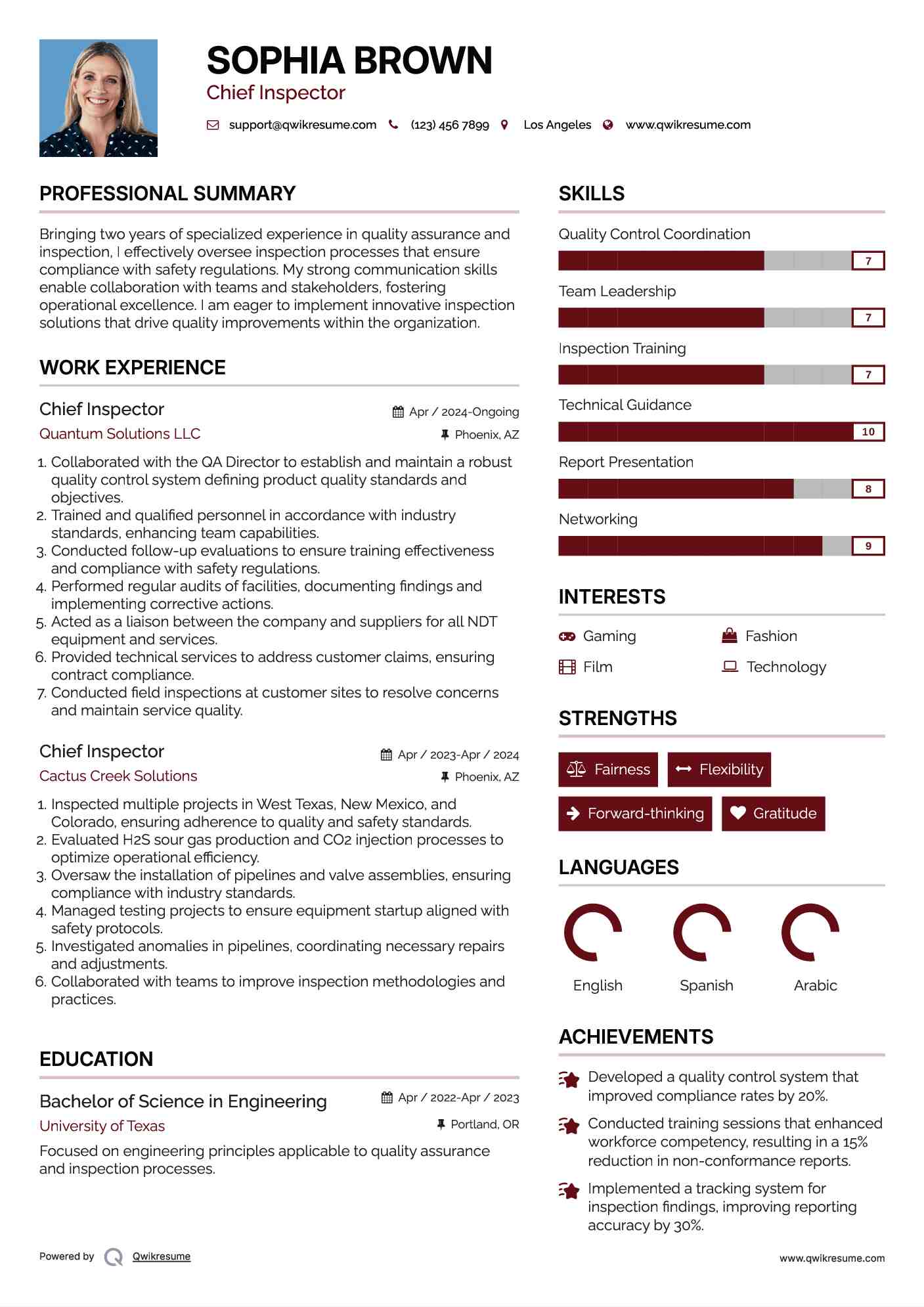 Chief Inspector Resume Format
