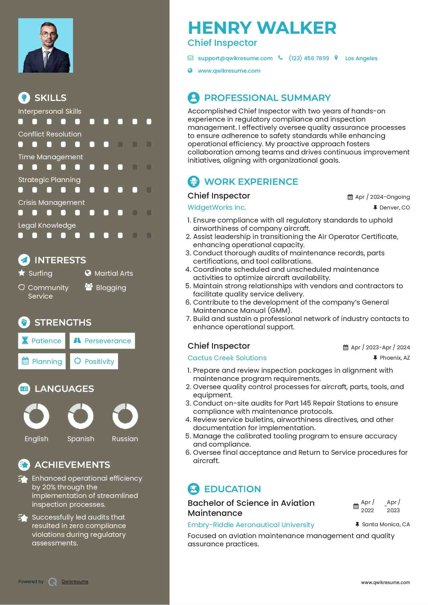 Chief Inspector Resume Sample