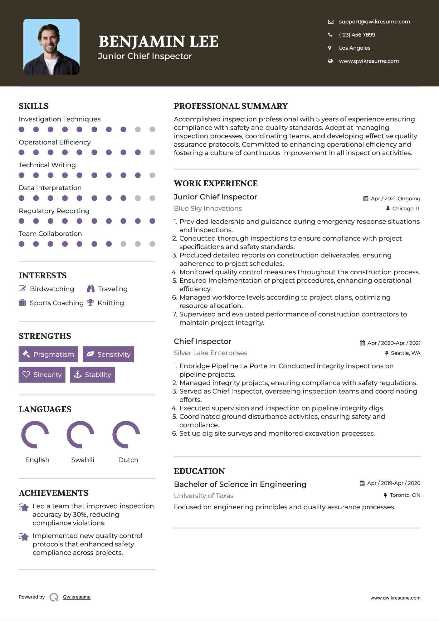 Junior Chief Inspector Resume Sample