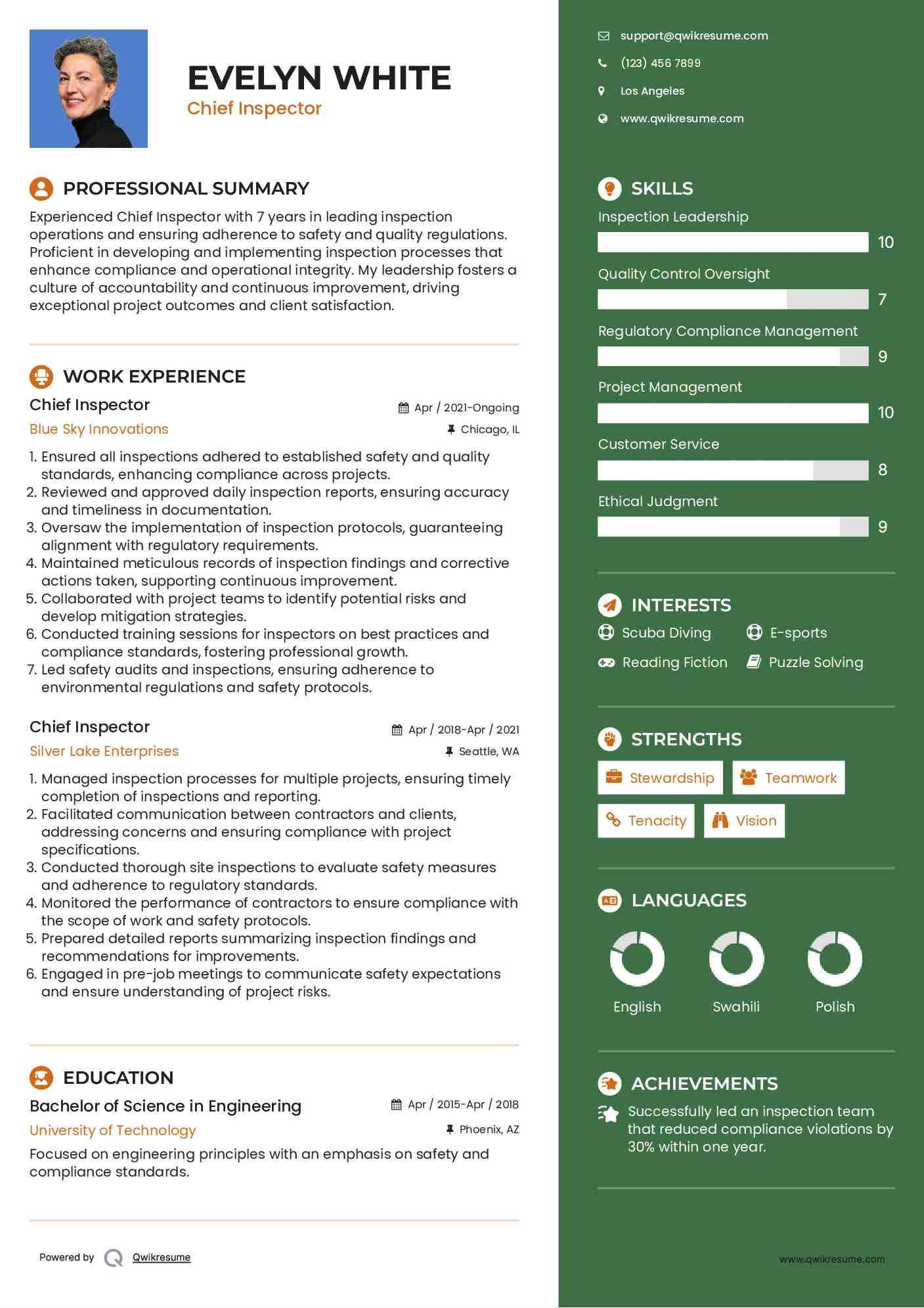 Chief Inspector Resume Example