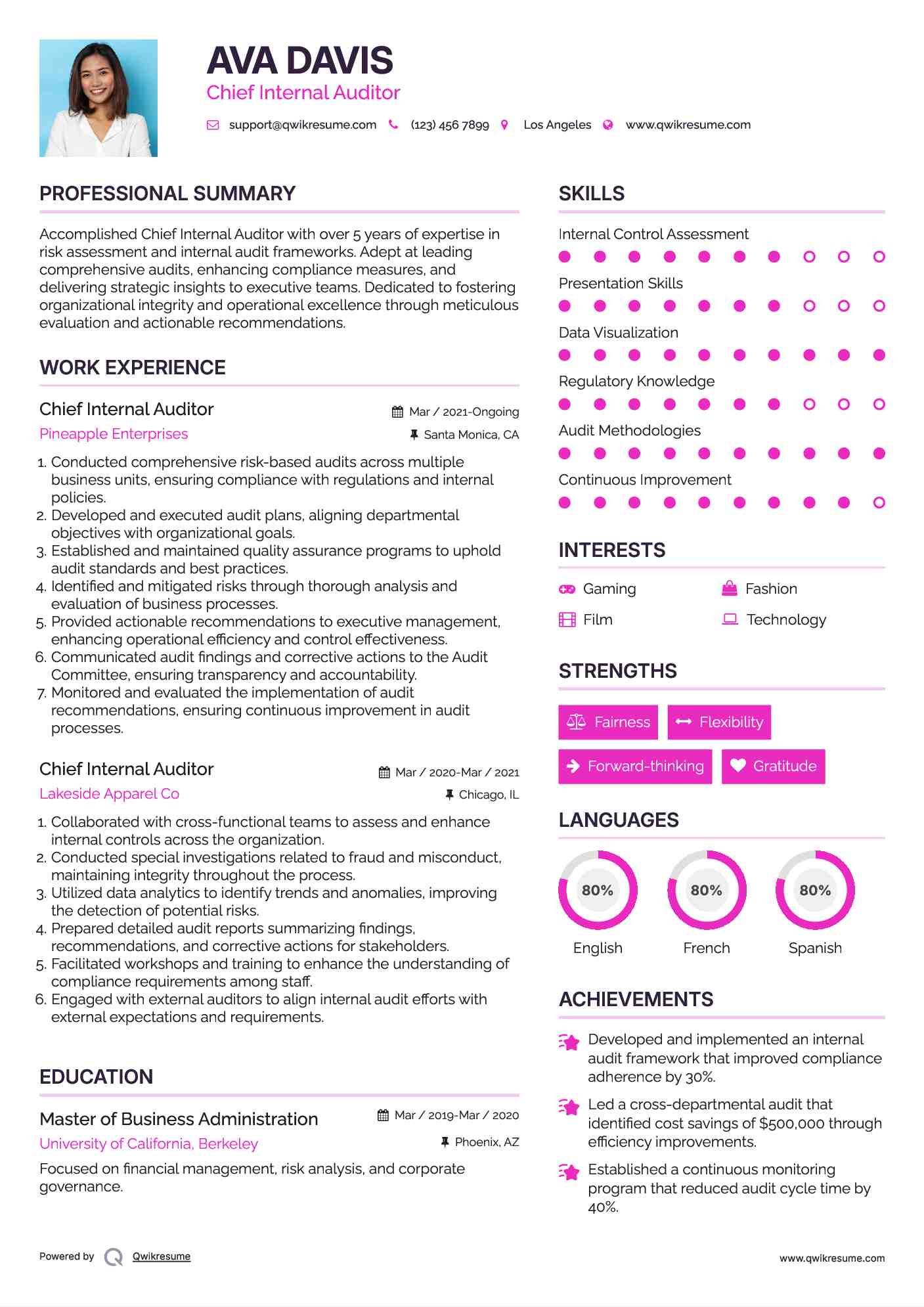 Chief Internal Auditor Resume Sample