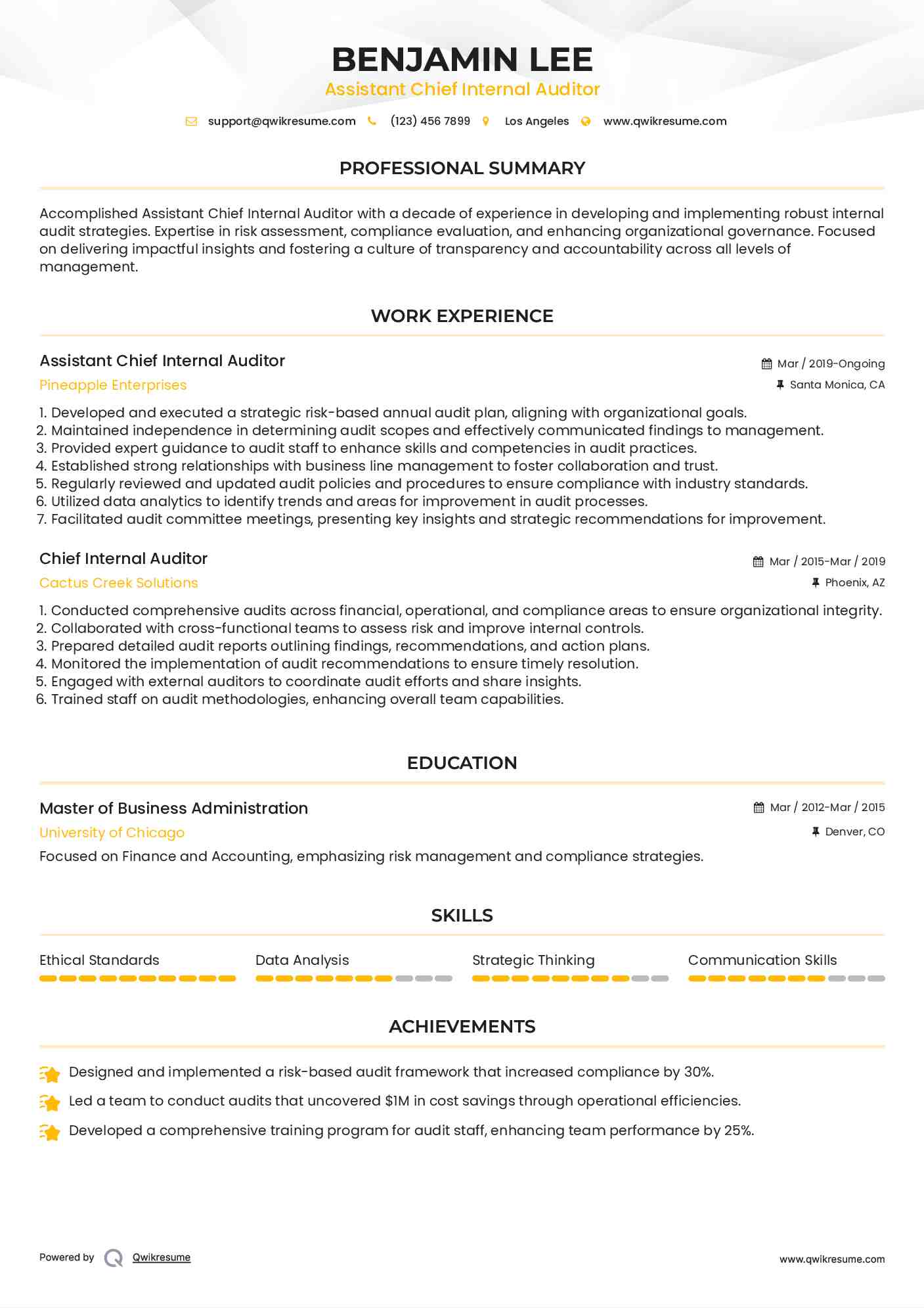 Assistant Chief Internal Auditor Resume Sample