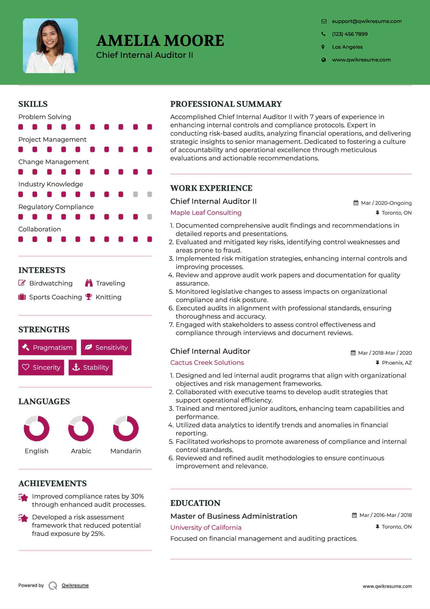 Chief Internal Auditor II Resume Template