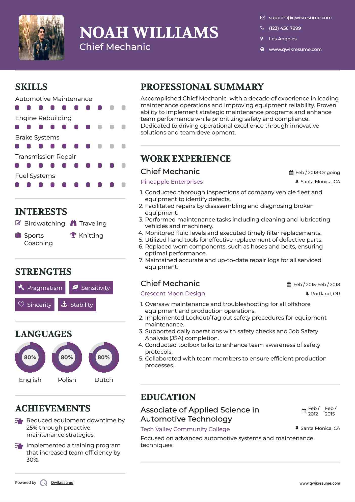 Chief Mechanic  Resume Sample