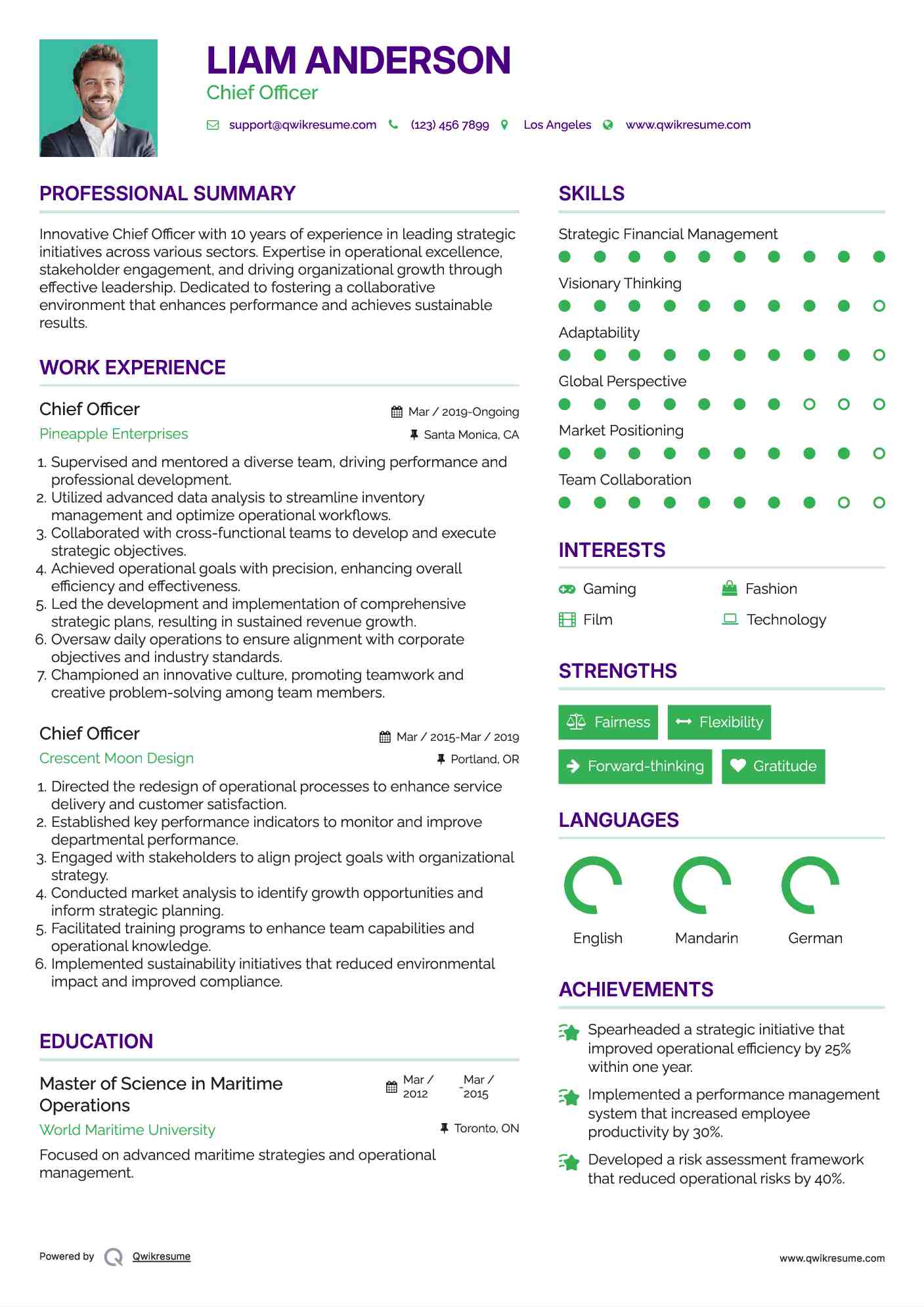 Chief Officer Resume Model