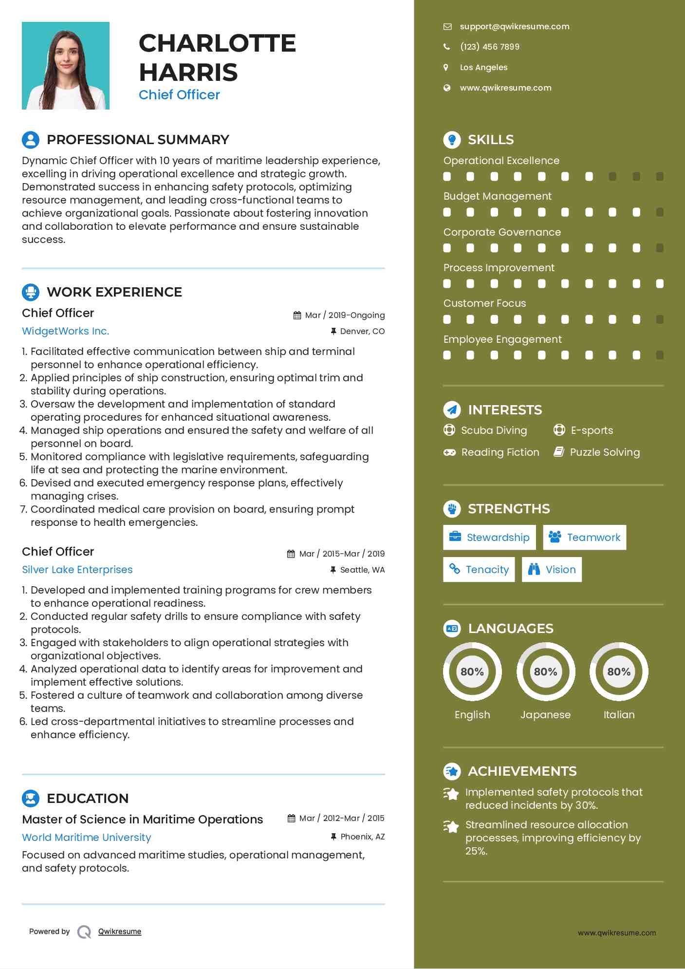 Chief Officer Resume Sample