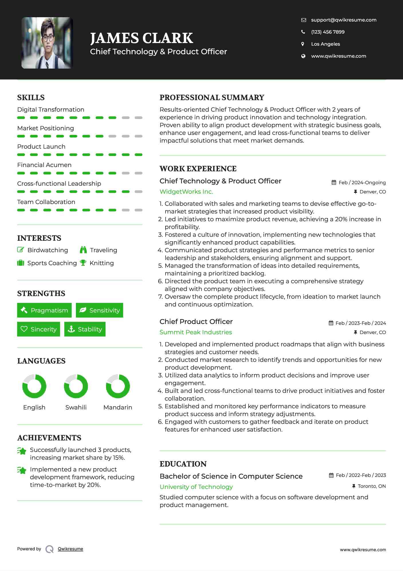 Chief Technology & Product Officer  Resume Template