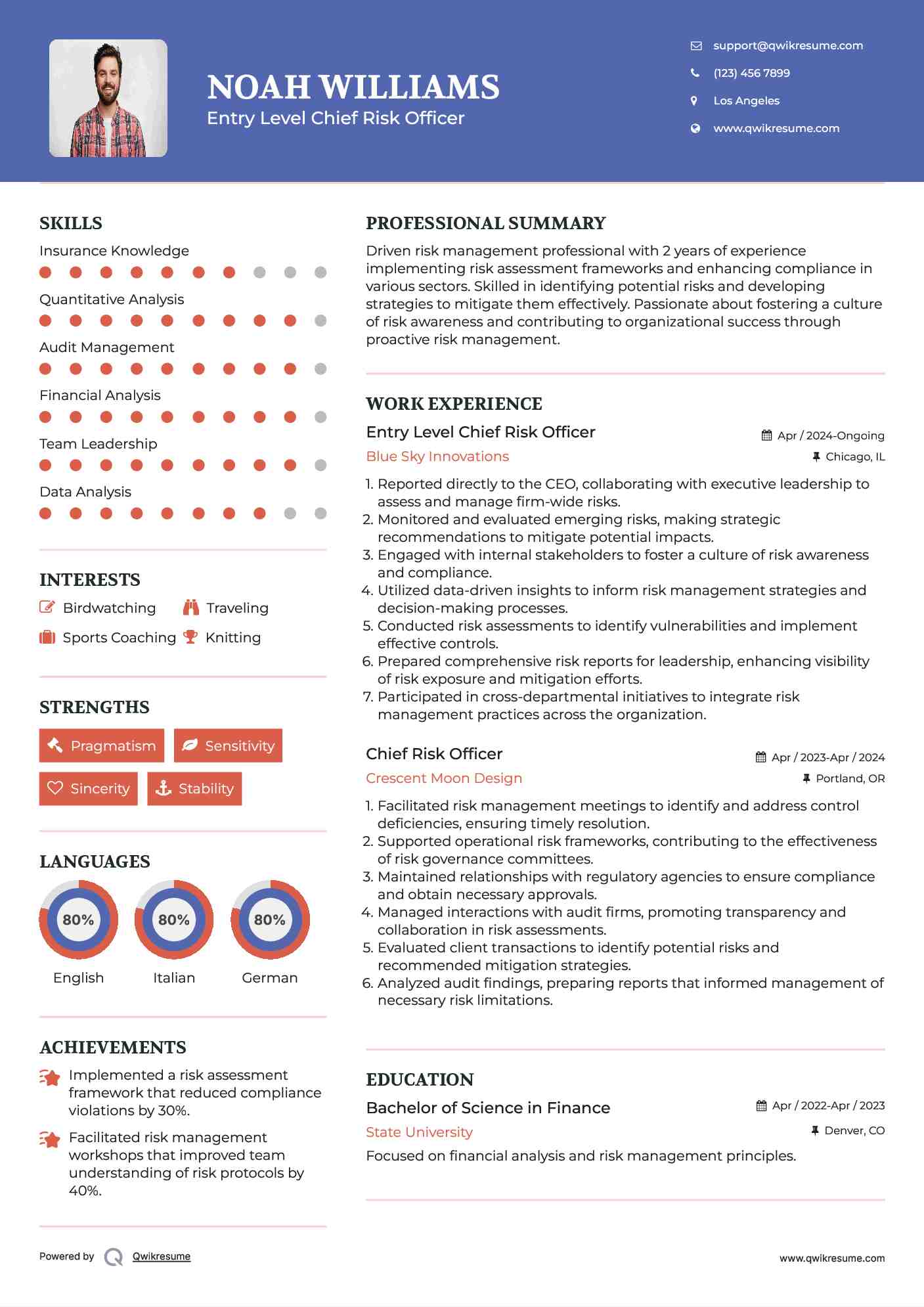 Entry Level Chief Risk Officer Resume Template