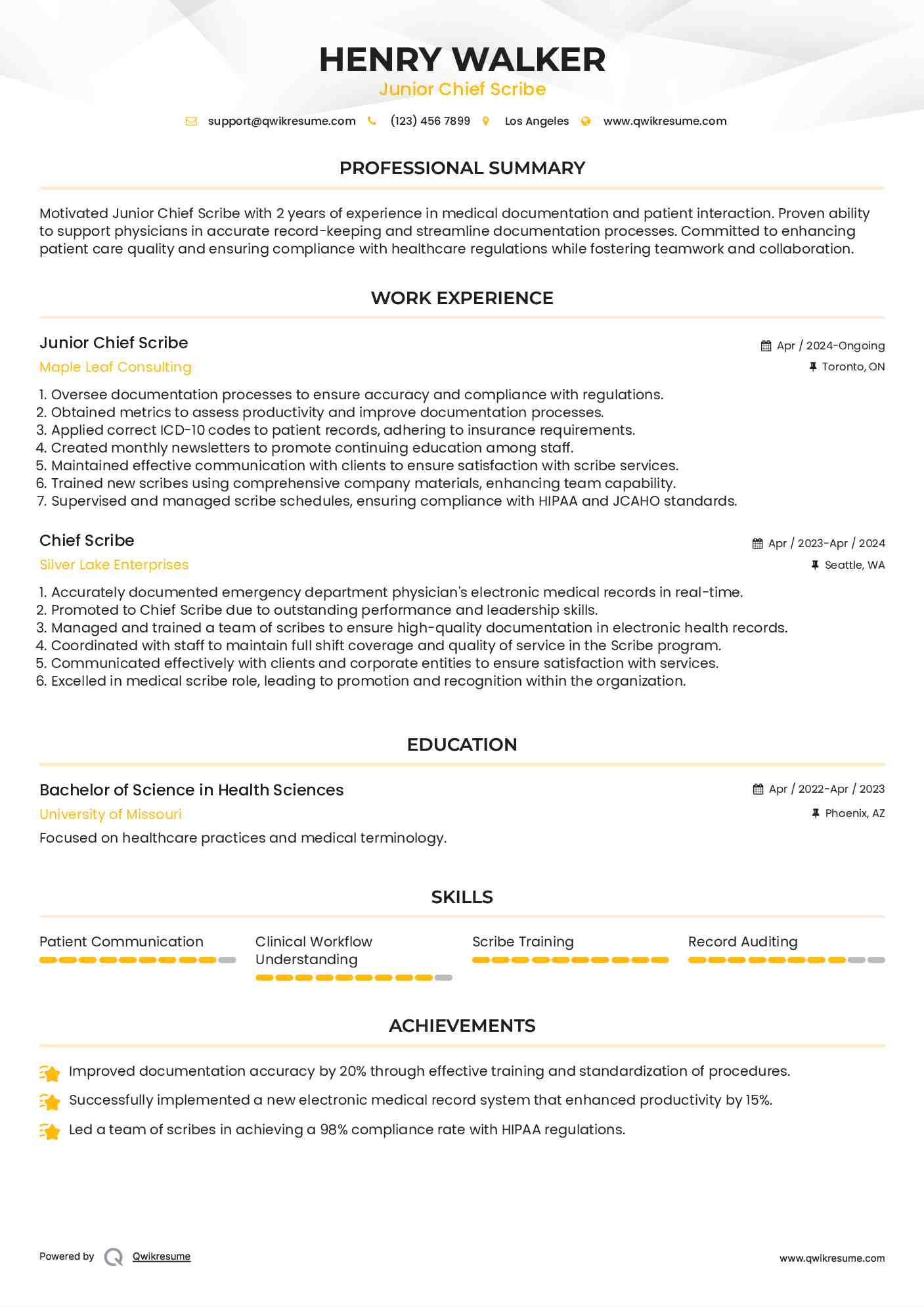 Junior Chief Scribe Resume Template