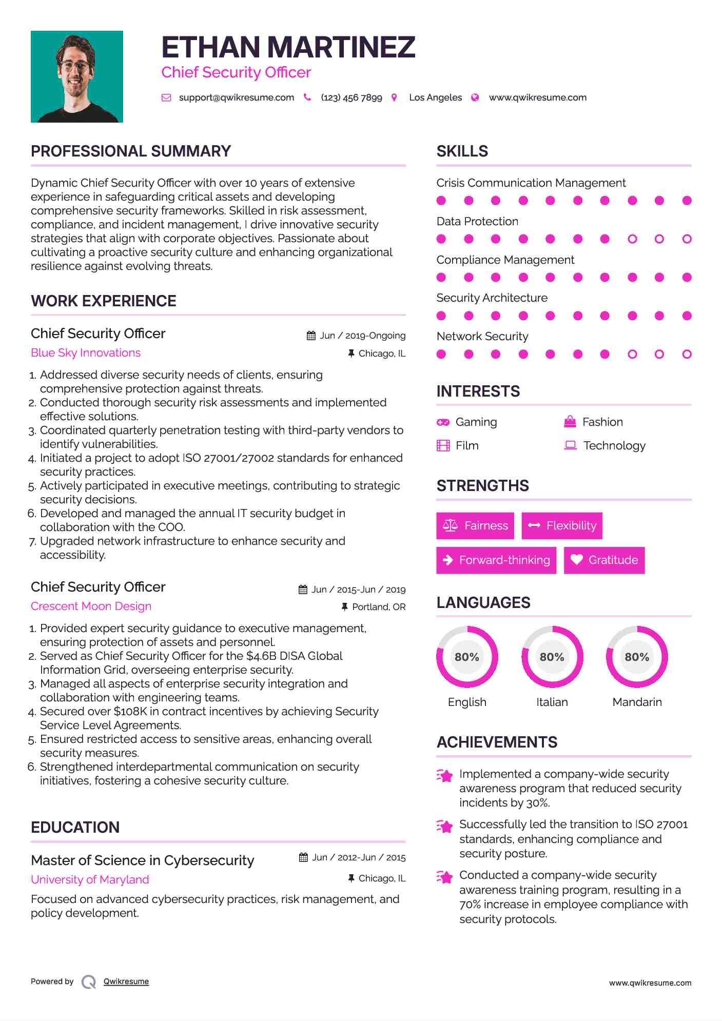 Chief Security Officer Resume Template