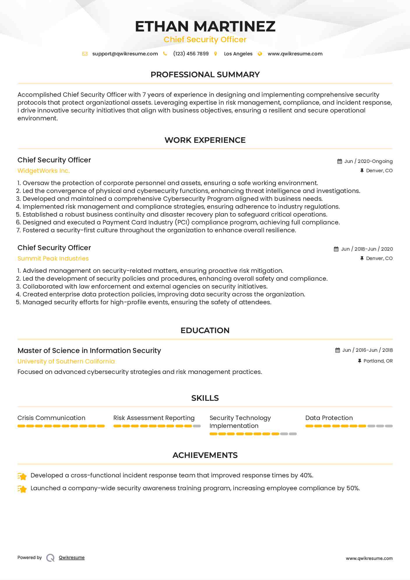 Chief Security Officer Resume Format