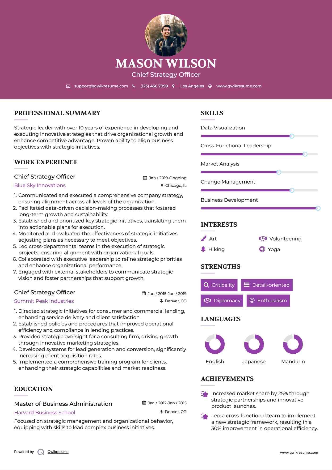 Chief Strategy Officer Resume Template