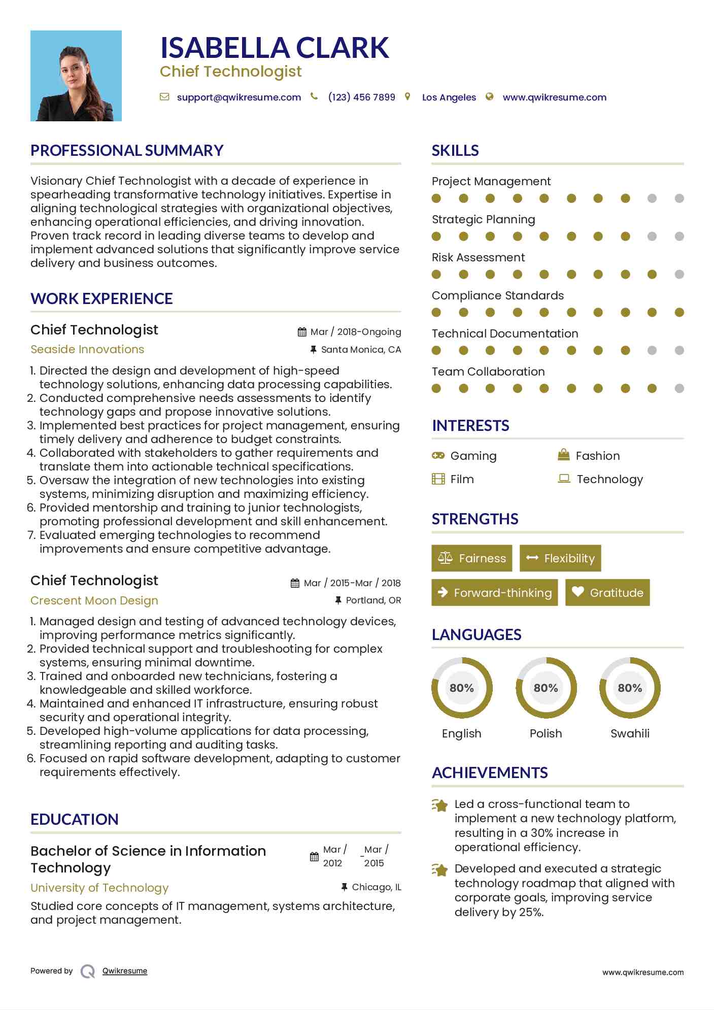 Chief Technologist Resume Model