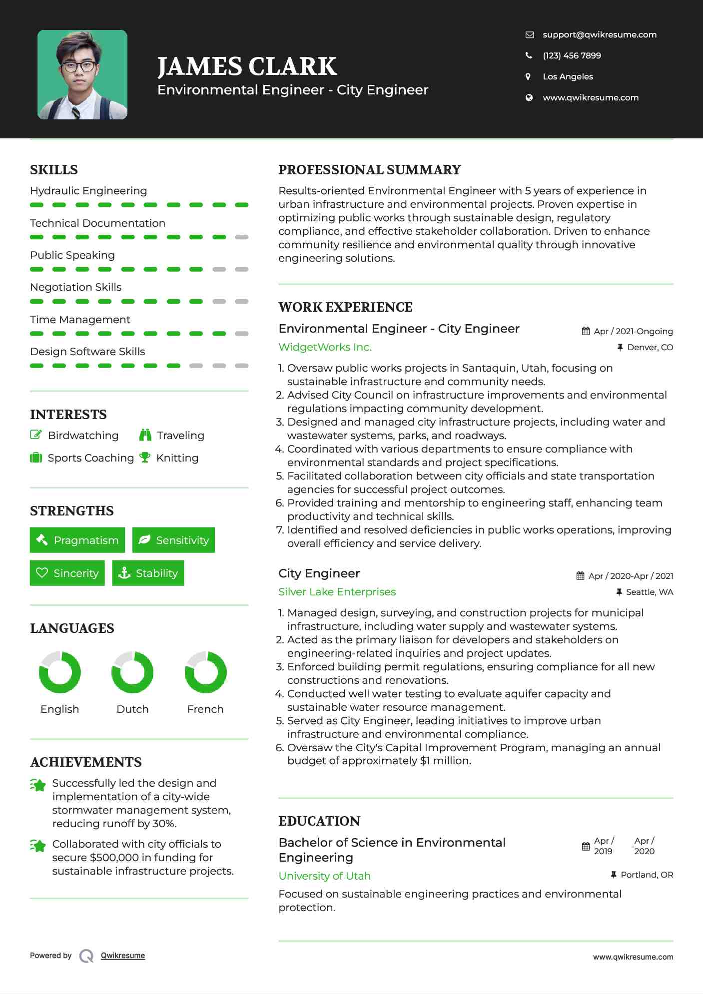 Environmental Engineer - City Engineer Resume Example