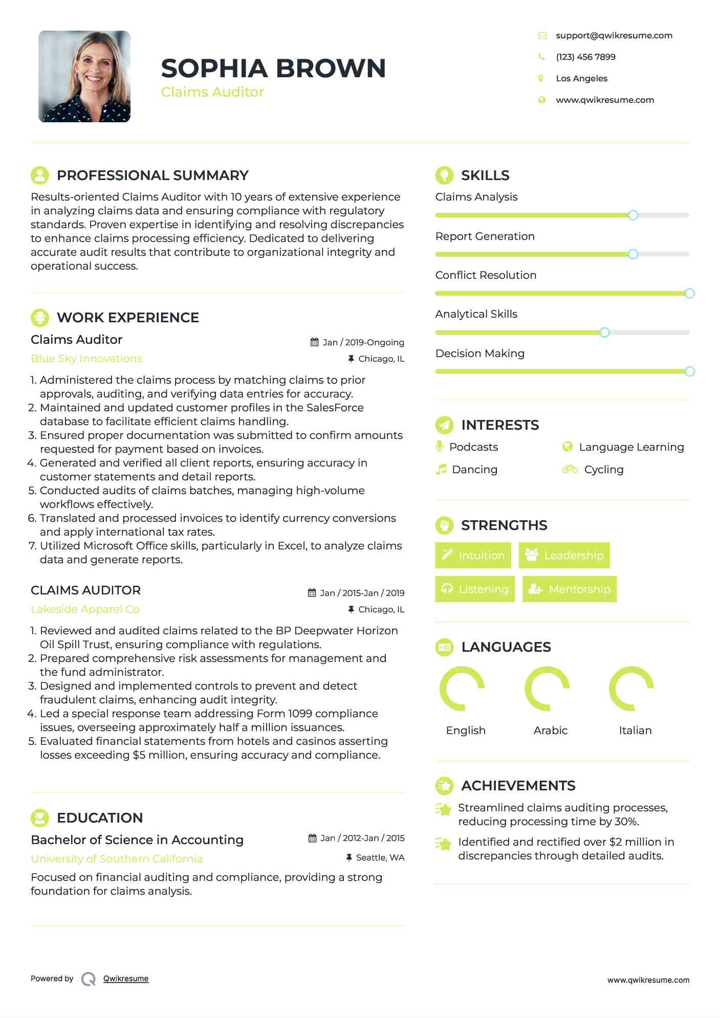 Claims Auditor Resume Example