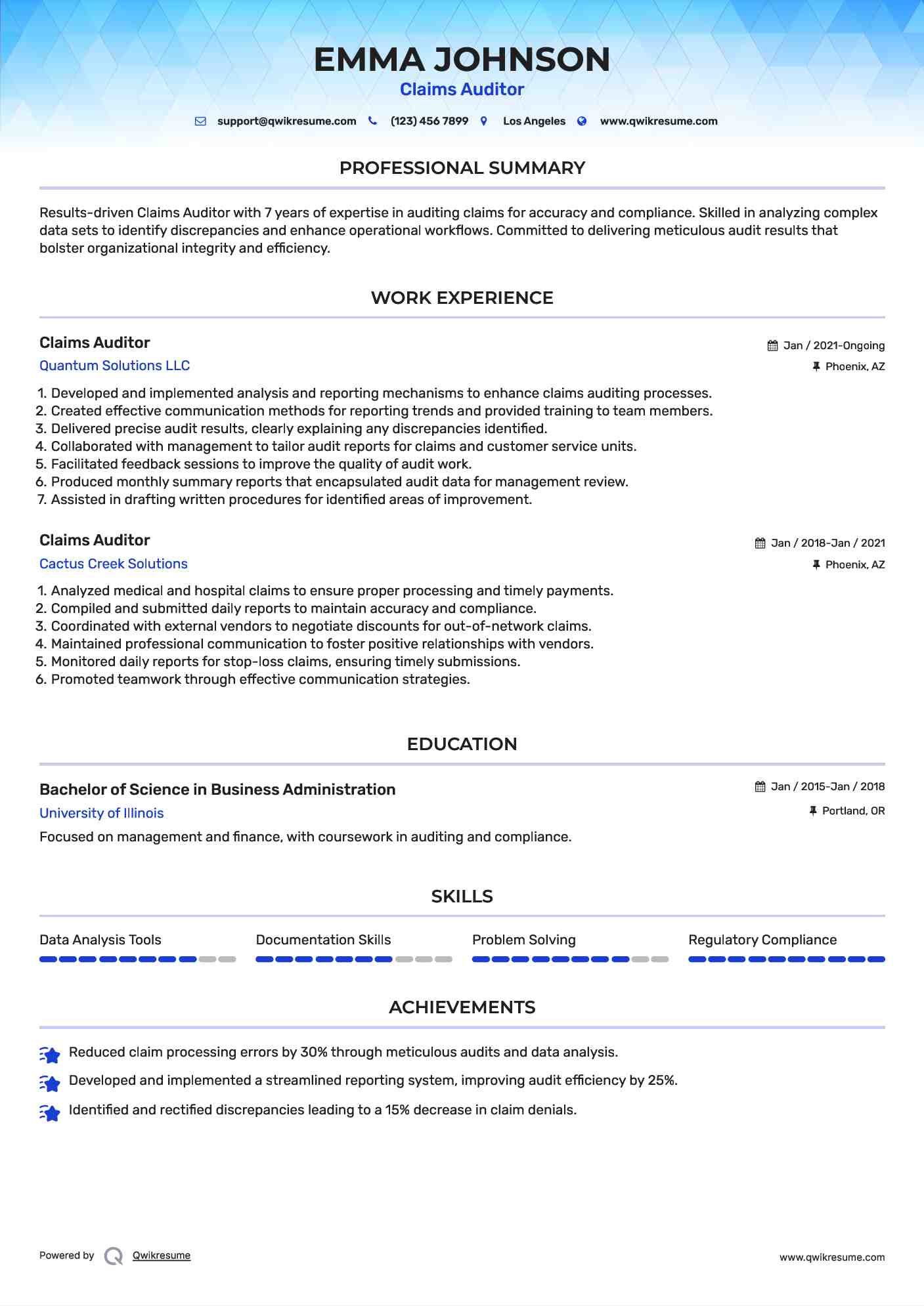 Claims Auditor Resume Sample