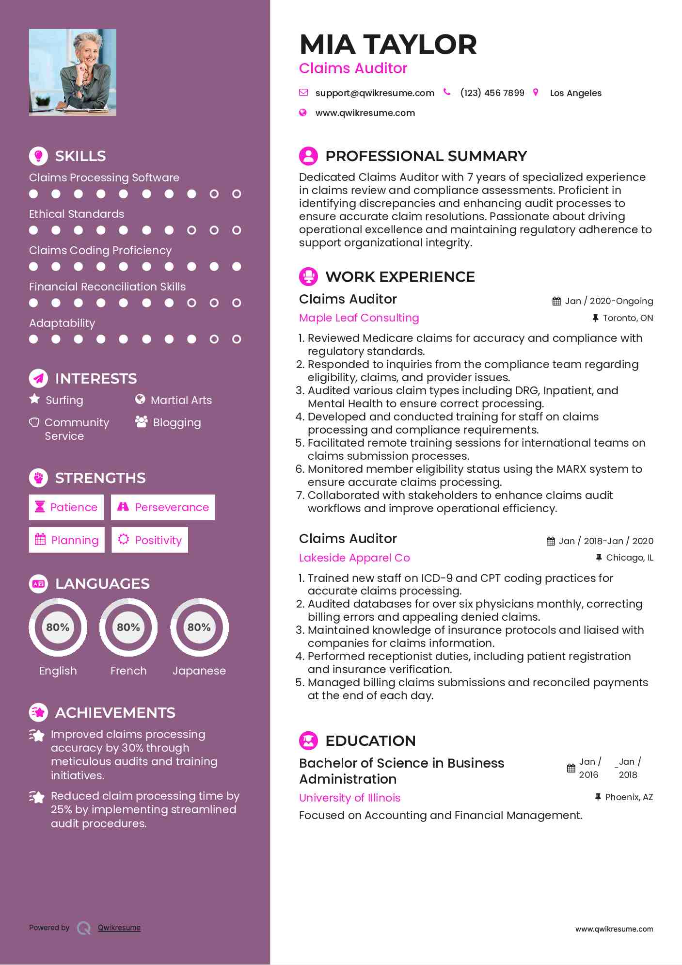 Claims Auditor Resume Example